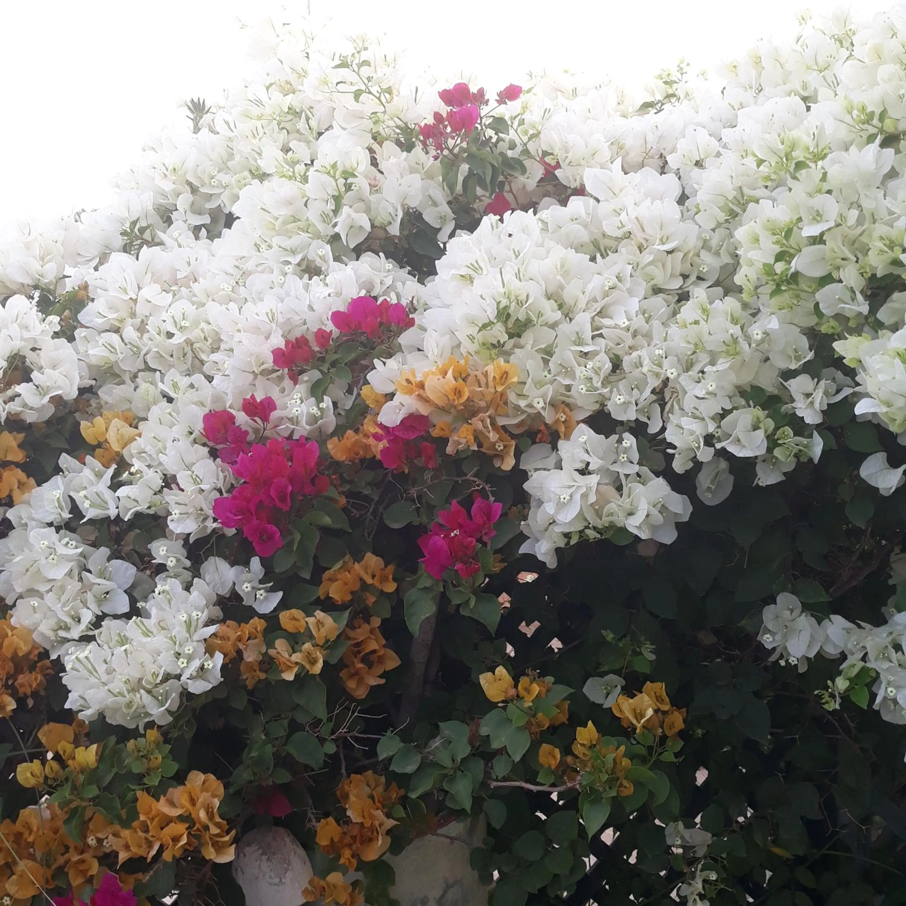 Day in Riad Dar Oulhoum