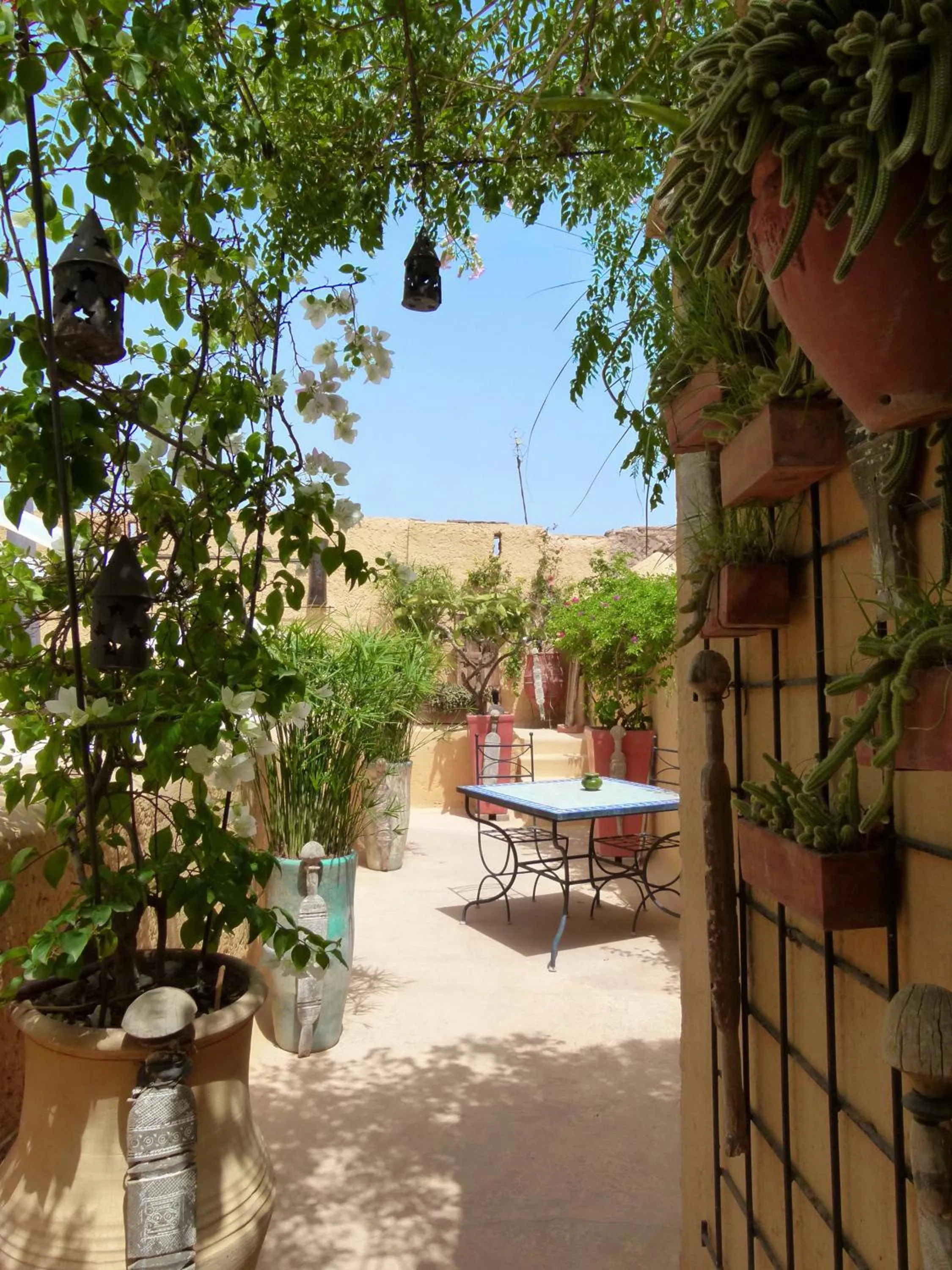 Balcony/Terrace in Riad Dar Oulhoum