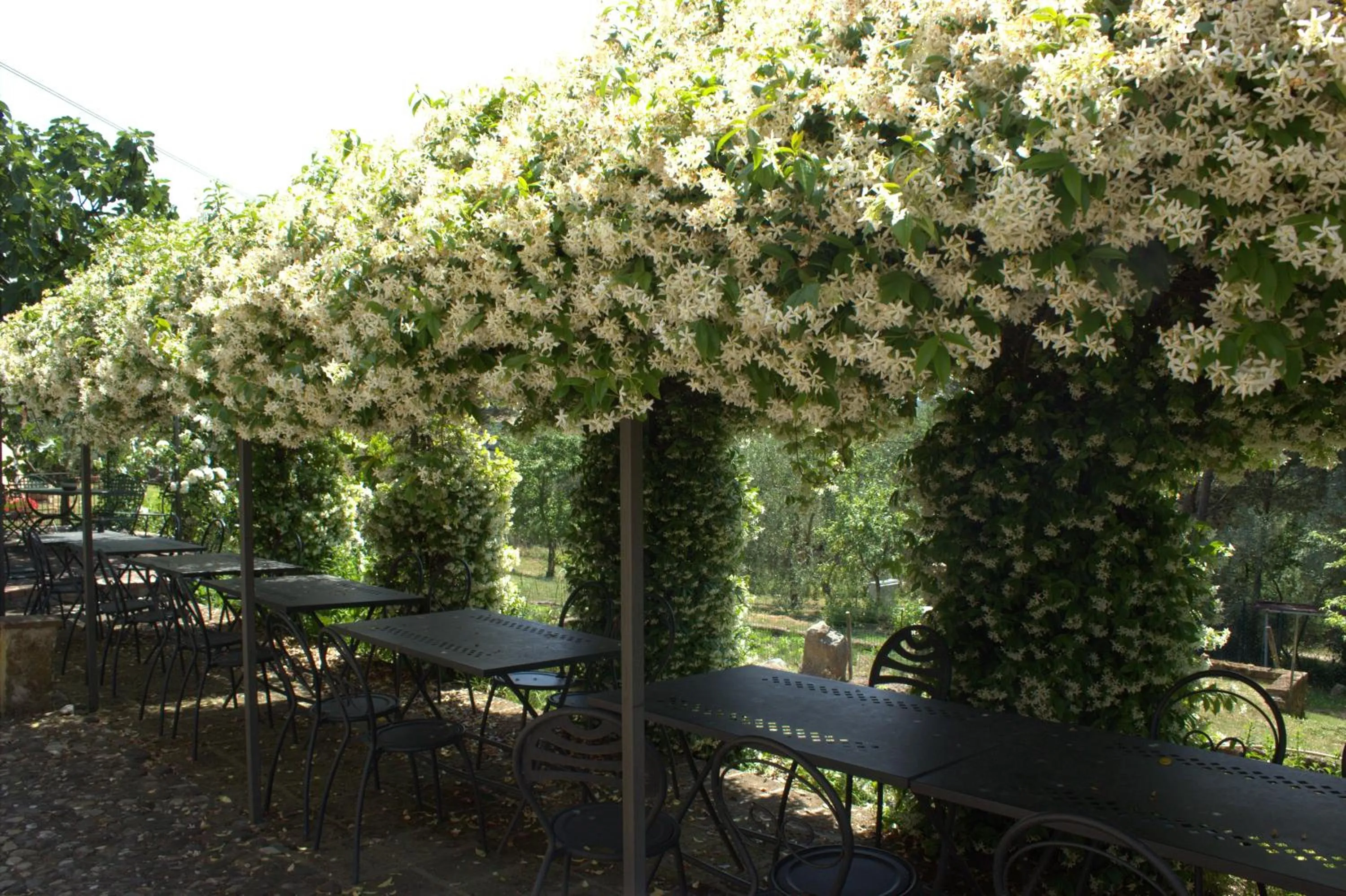 Garden view in Il Poggio di Teo