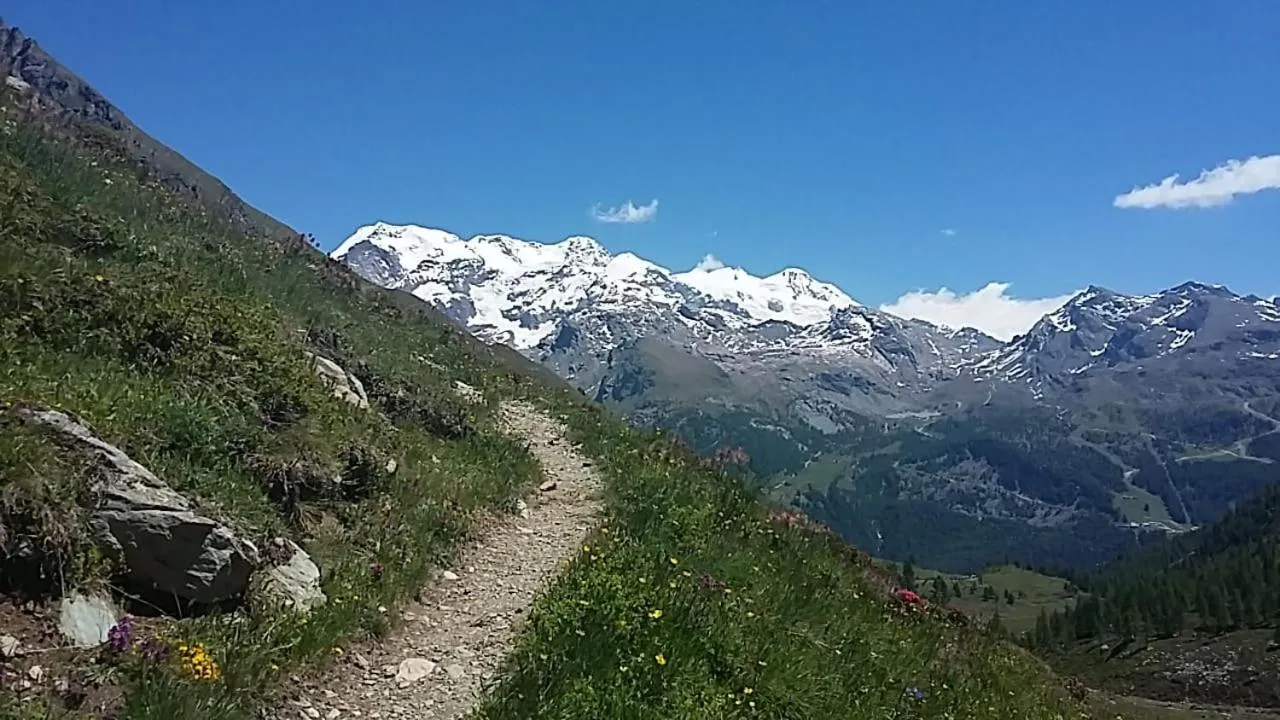 Natural landscape in Hotel Le Petit Abri