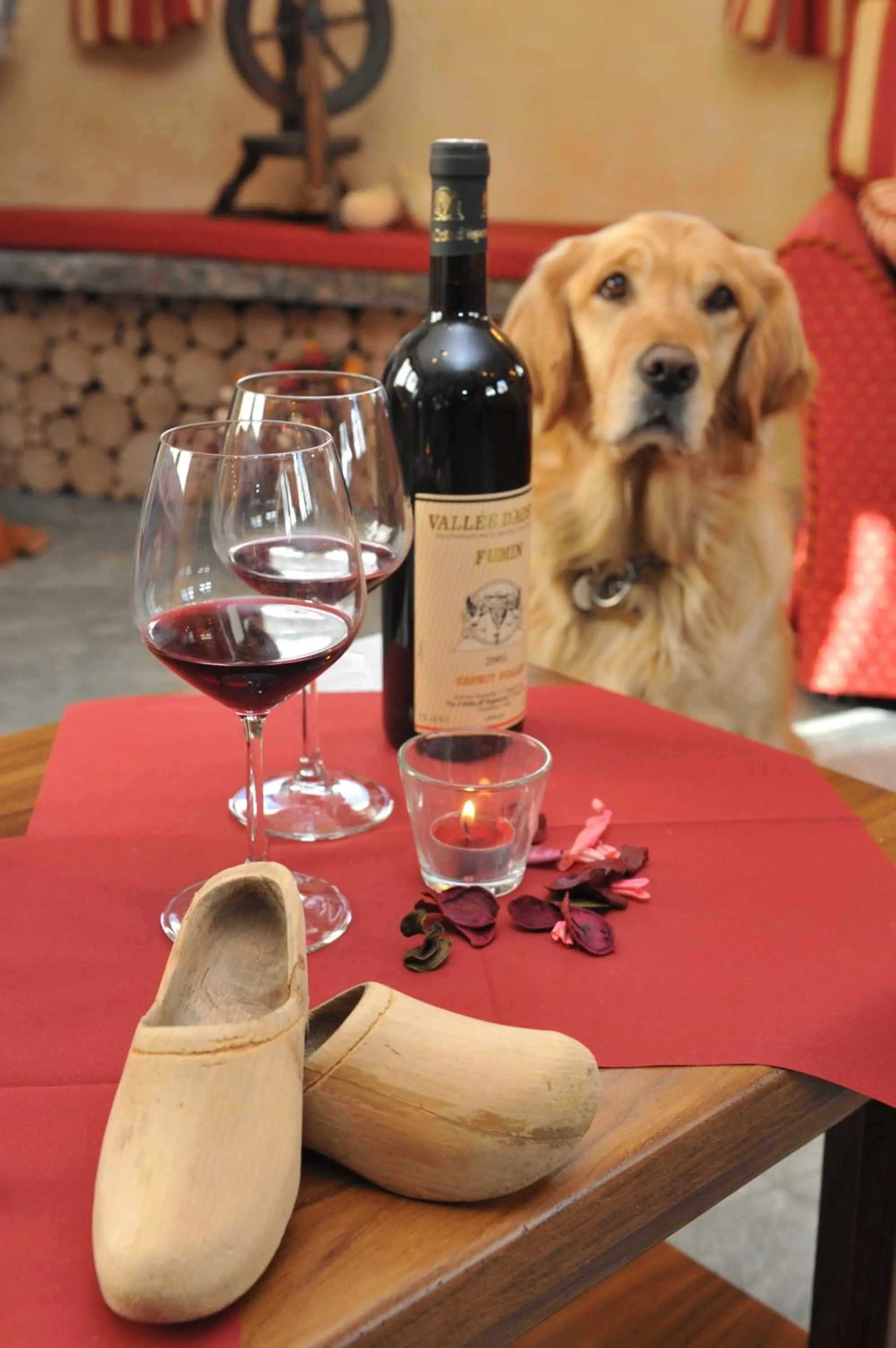 Communal lounge/ TV room in Hotel Le Petit Abri