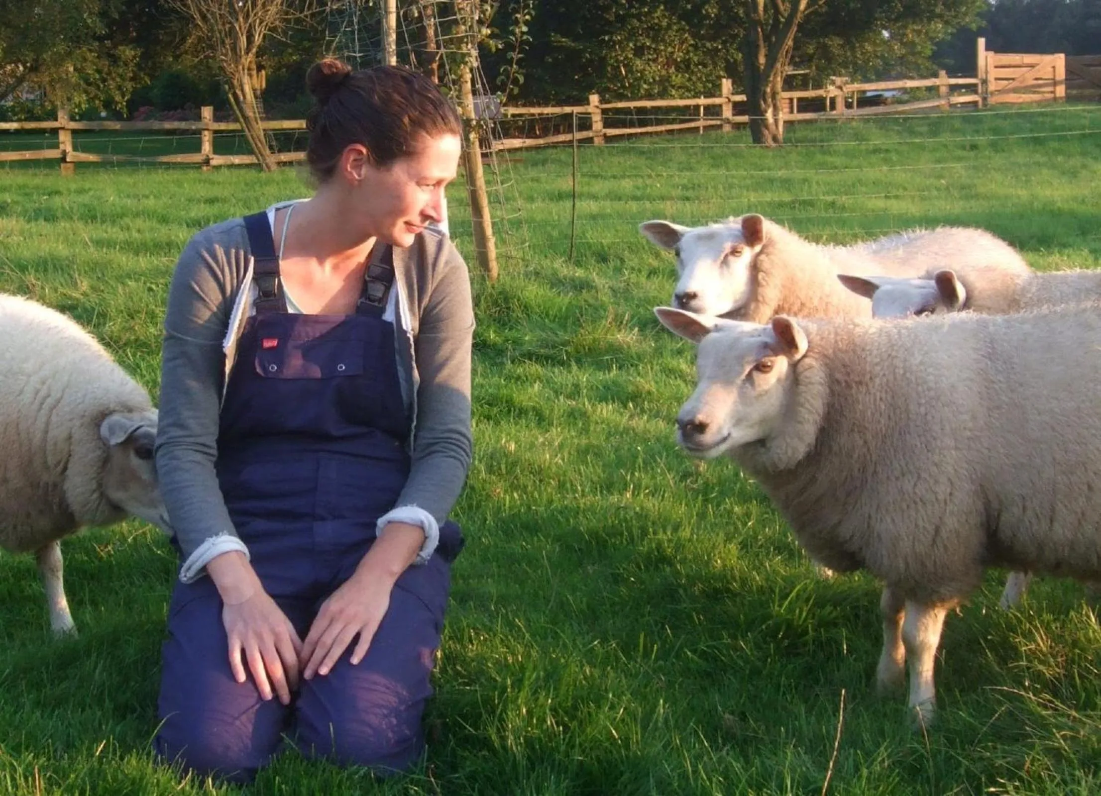 On site in Het geheim van Merselo