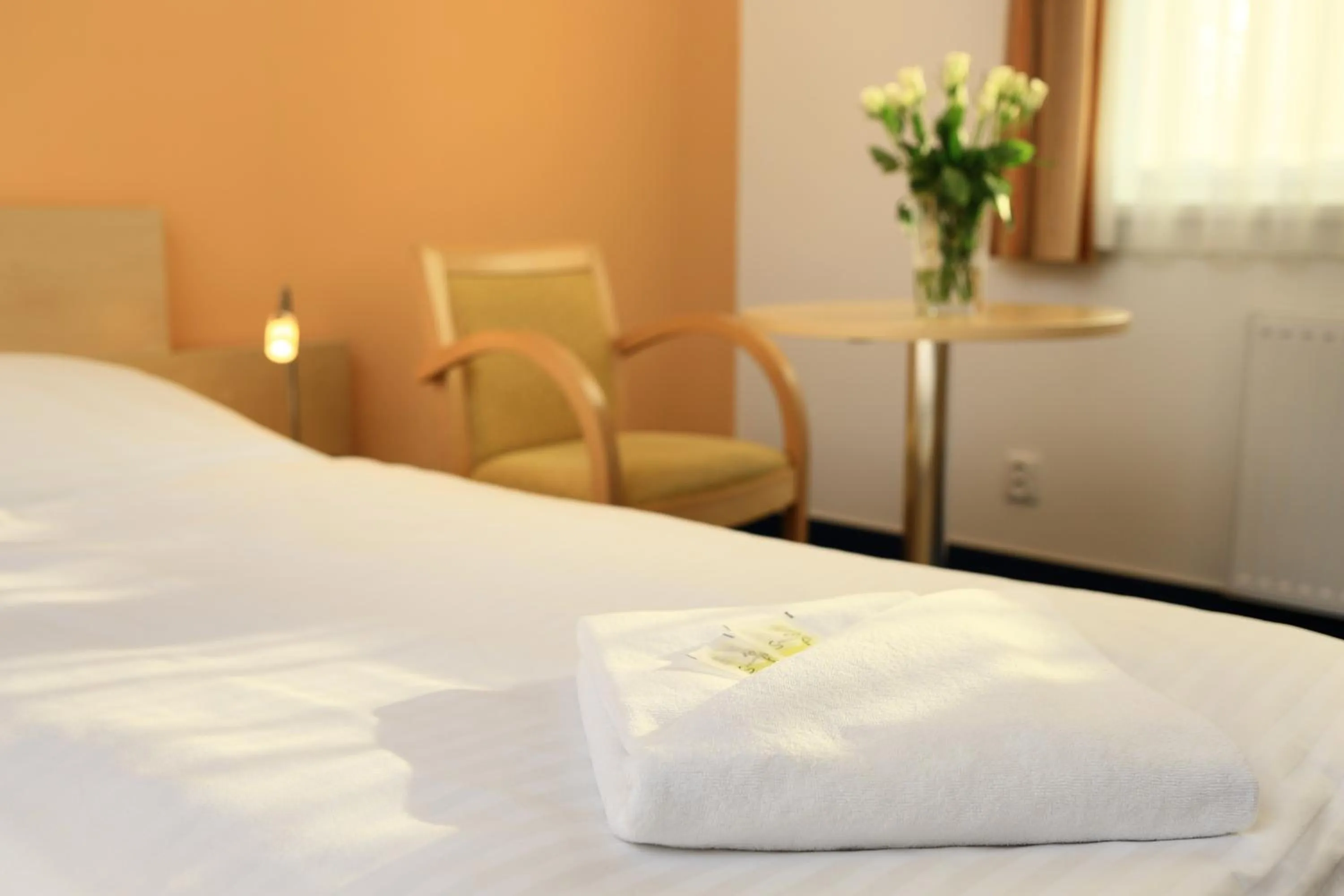 Decorative detail, Bed in Penzion Krumlov - Massage studio