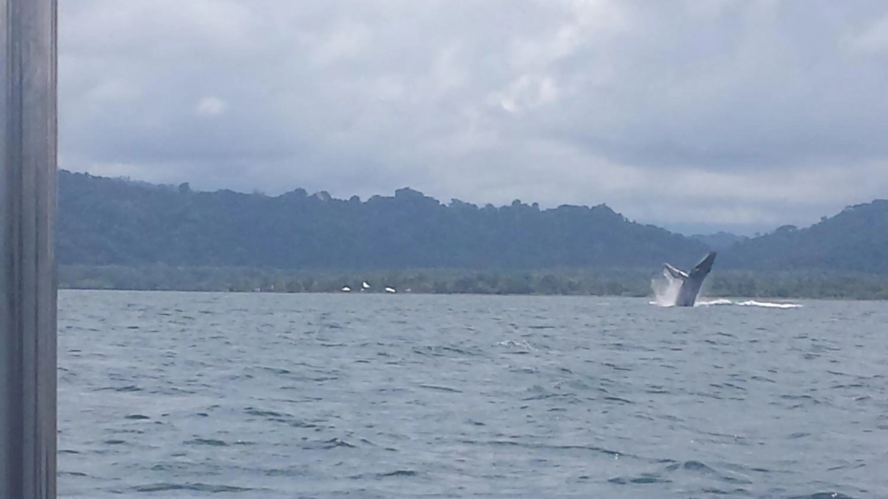 View (from property/room) in Cabinas Jimenez