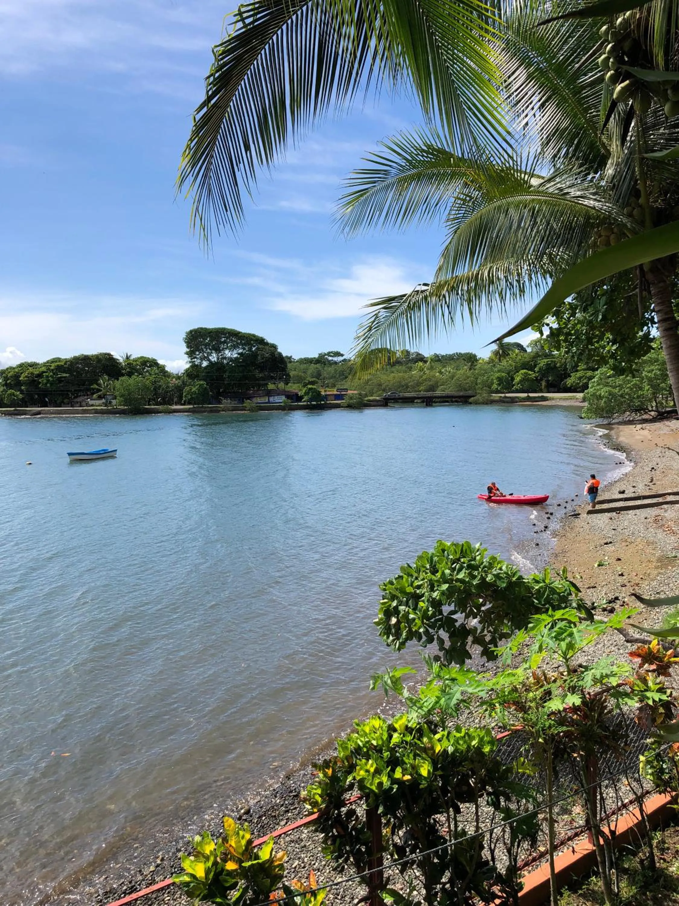 Natural landscape in Cabinas Jimenez