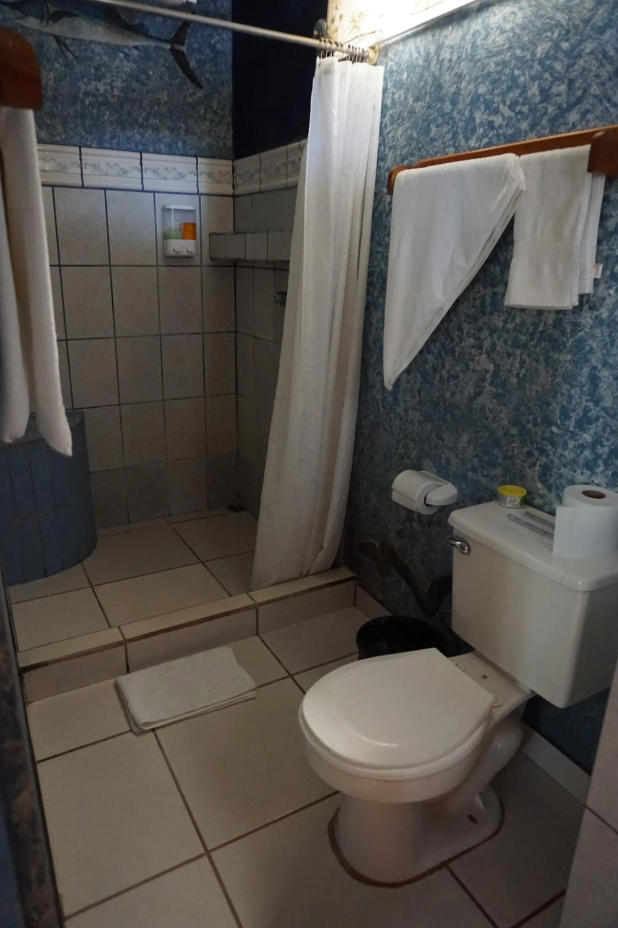 Shower in Cabinas Jimenez