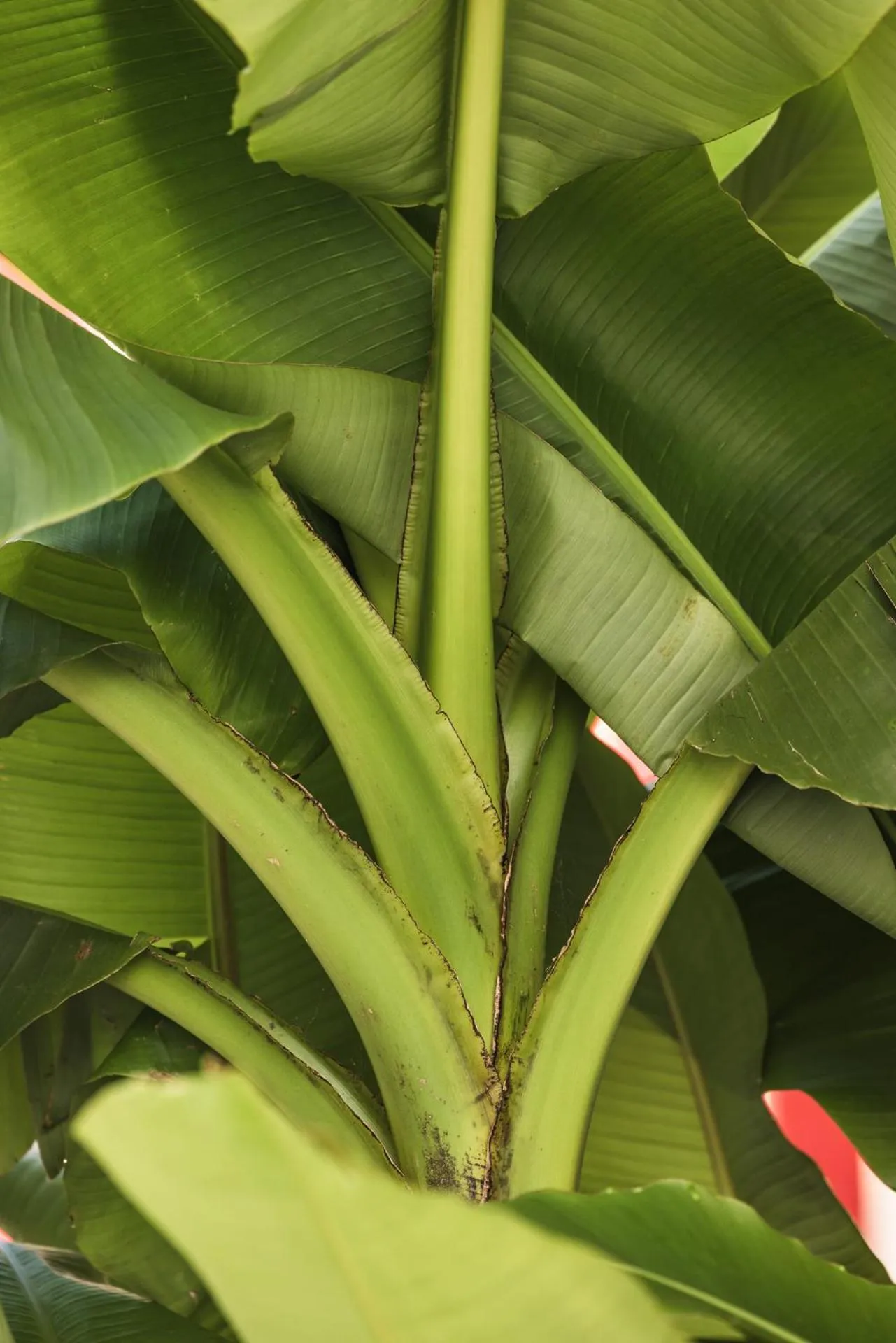 Natural landscape in Hôtel INDARRA & SPA - Piscine