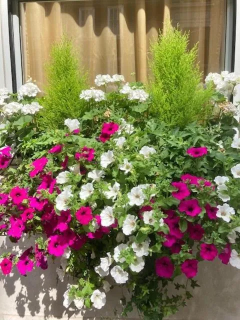 Property building in Astor Court Hotel