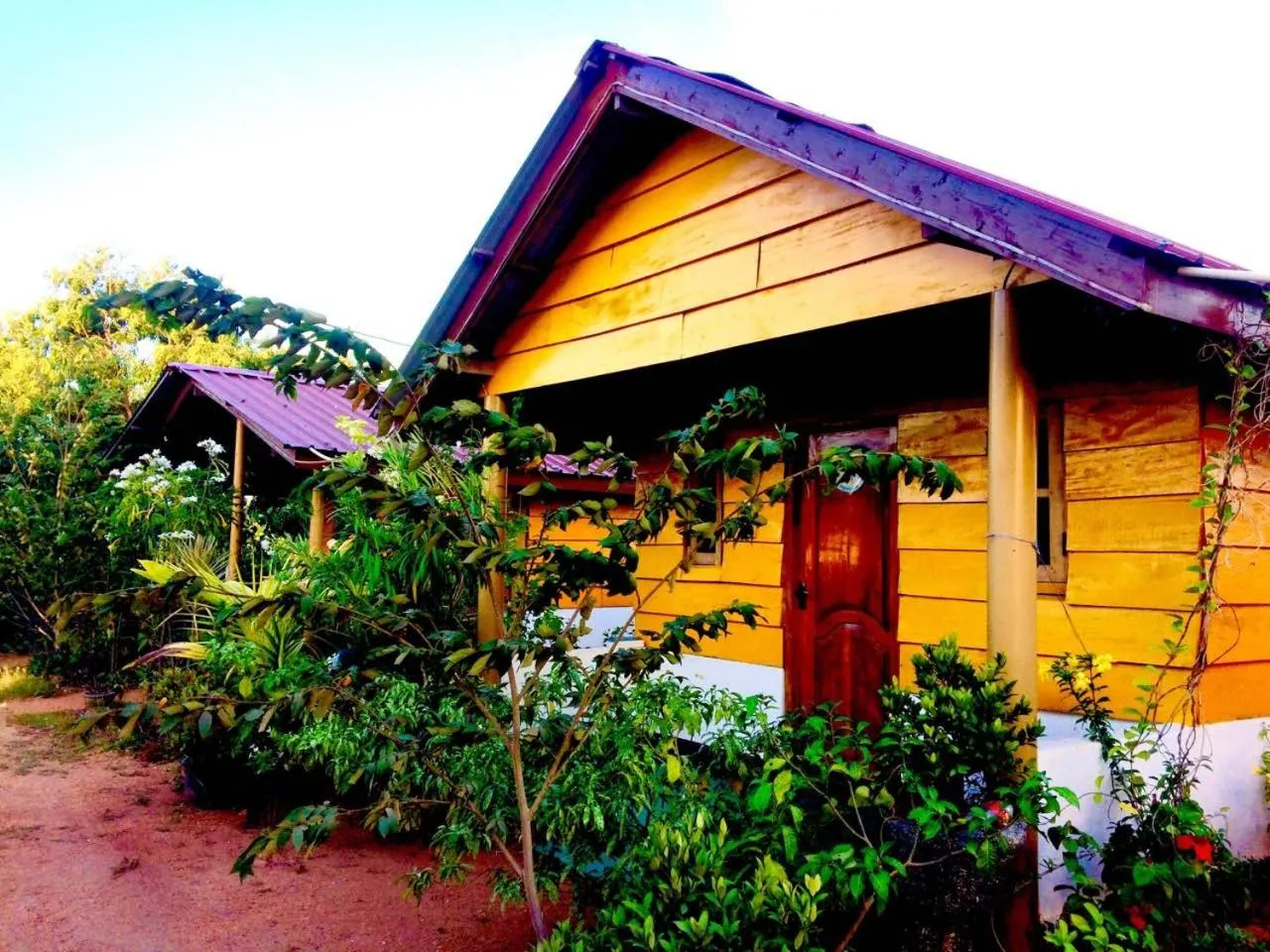 Garden in Sunntop Cabana