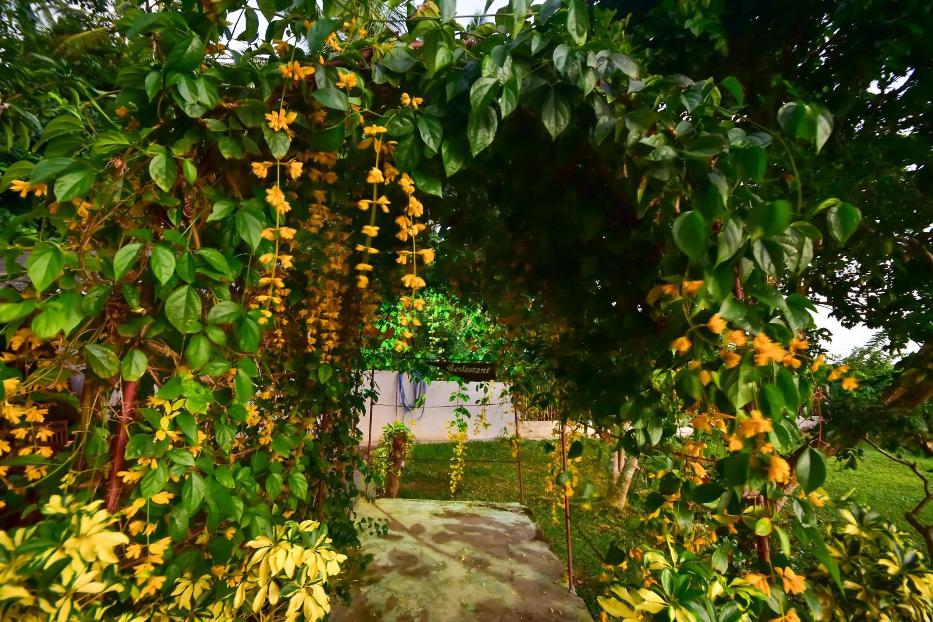 Natural landscape in Jungle Villa - Induruwa