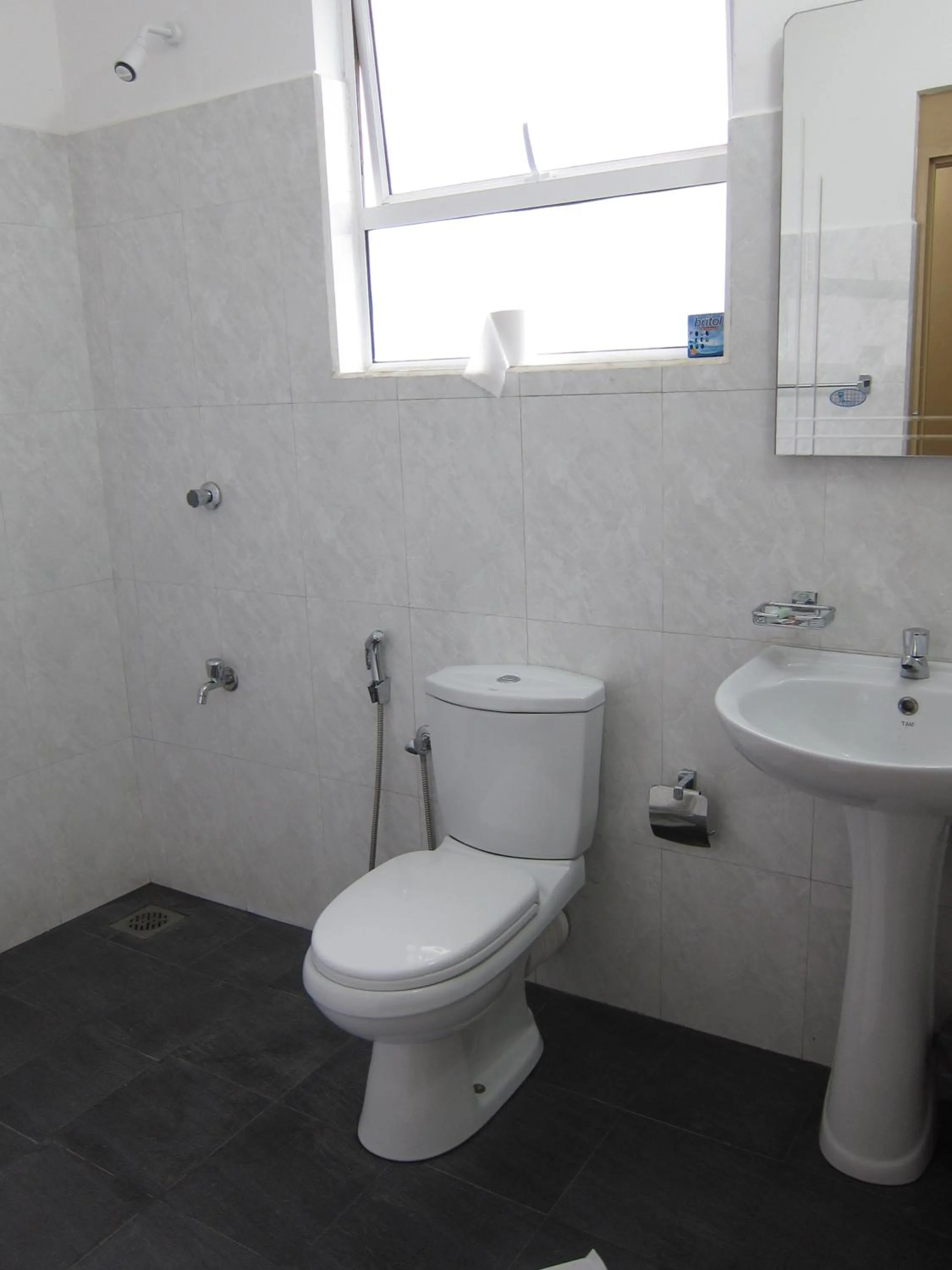 Toilet in Hotel Oviya