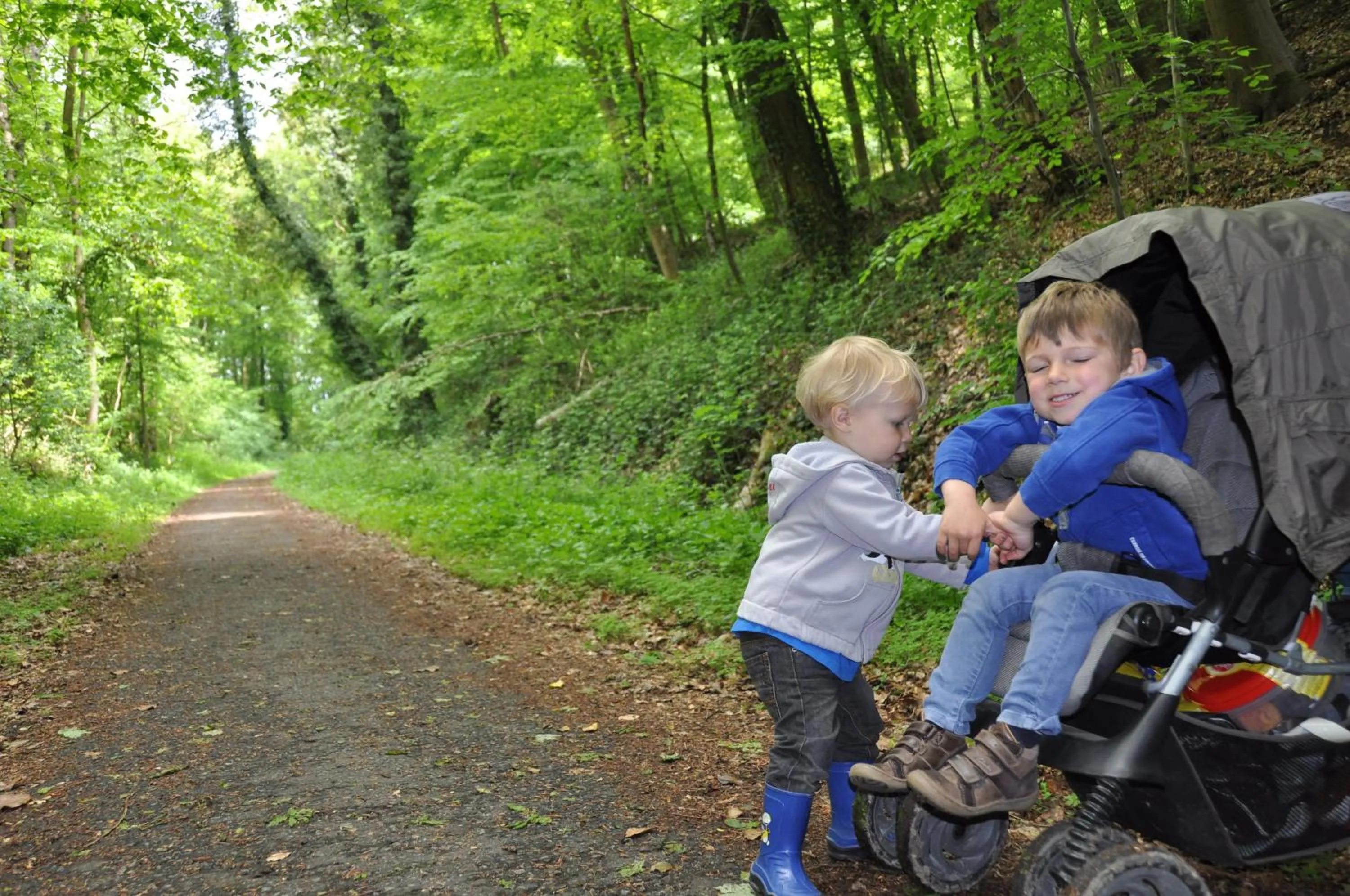 Natural landscape in B&B Hoeve de Schapenkop