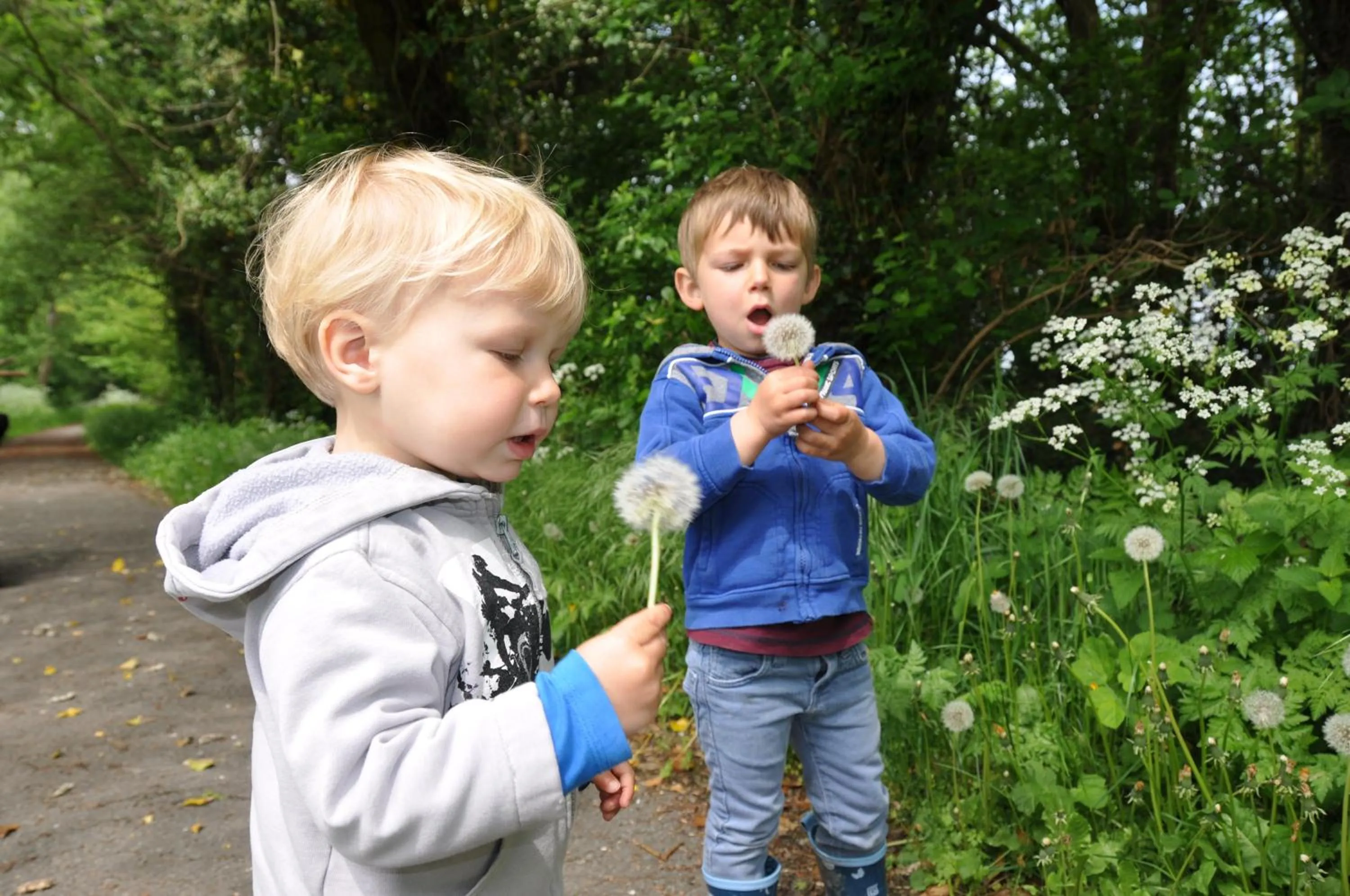 Entertainment in B&B Hoeve de Schapenkop