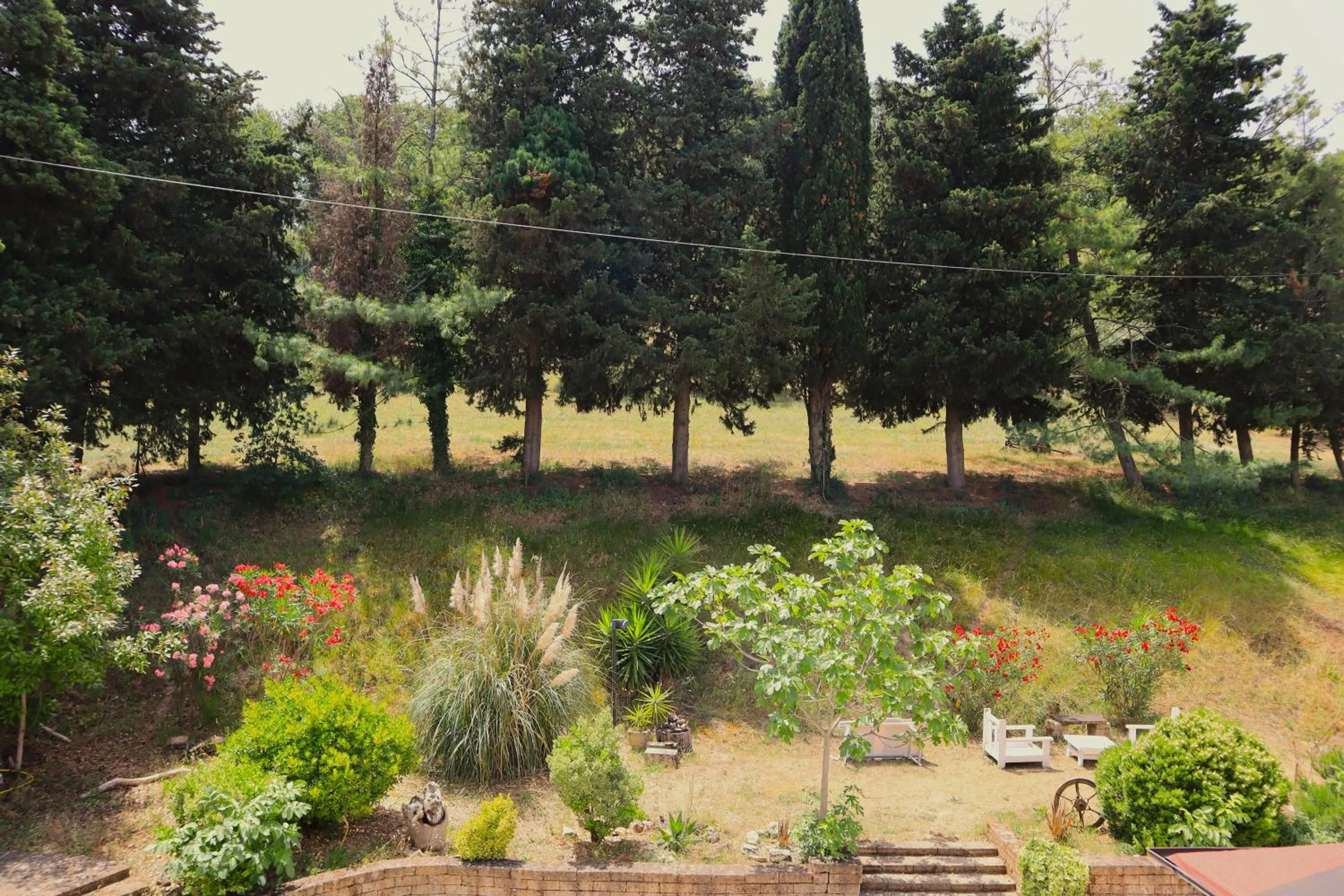 Natural landscape in Tierra Cristiana