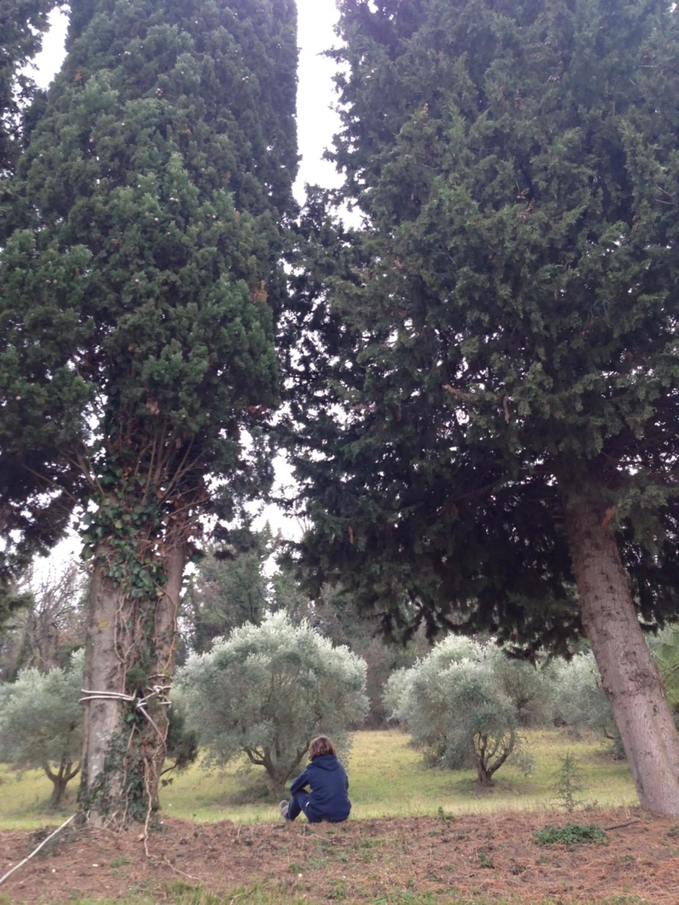 Natural landscape in Tierra Cristiana