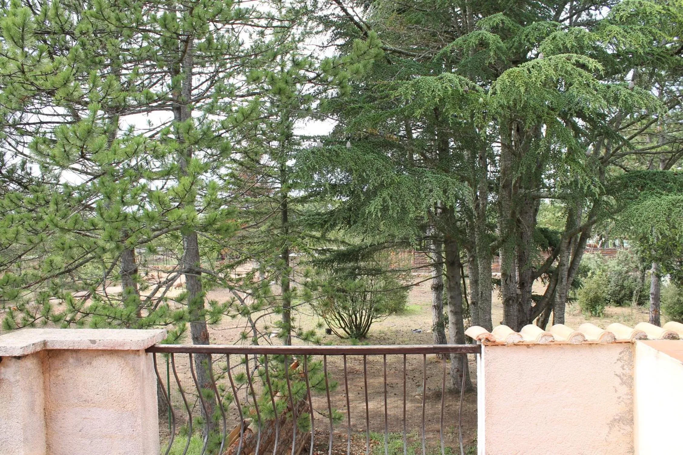 Balcony/Terrace in L'hôtel du Bastier