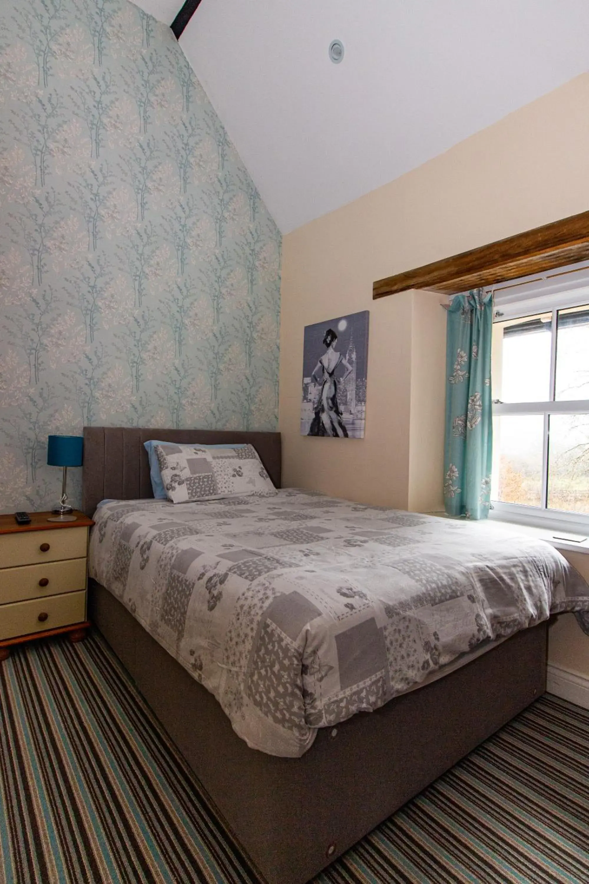 Single Room - single occupancy in Old School B & B Single Room - single occupancy in Old School B & B