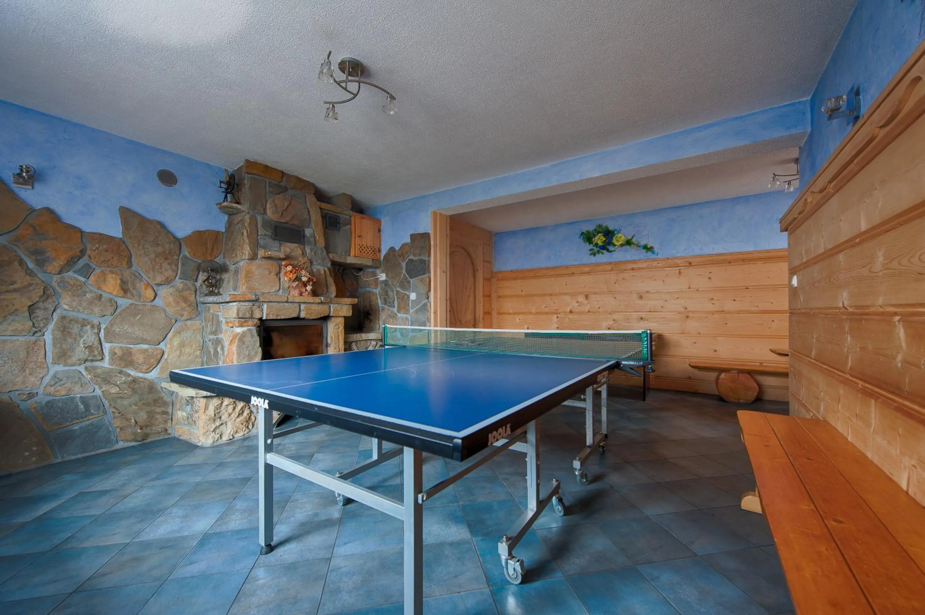 Table tennis in Pokoje u Borzana