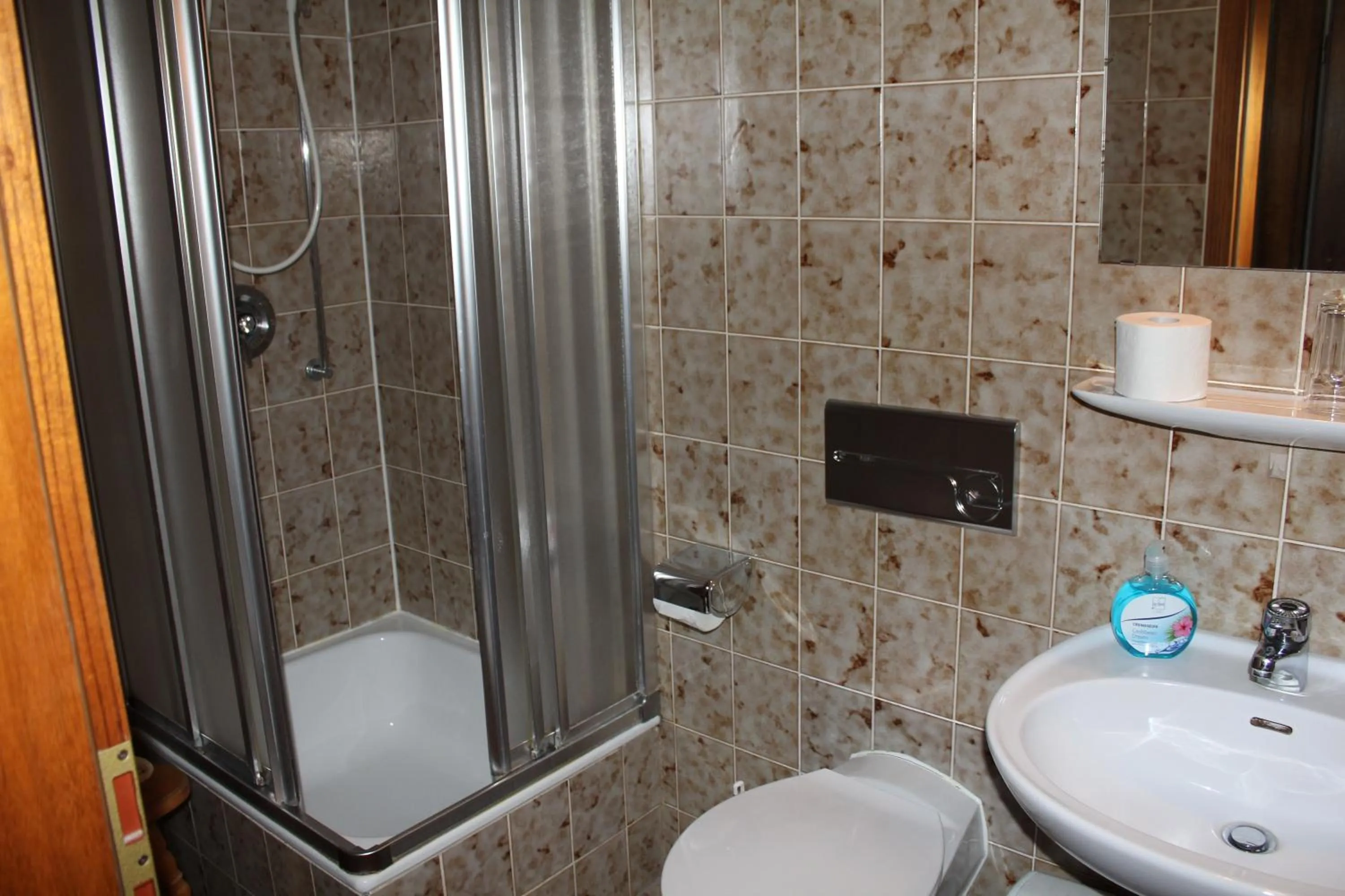 Shower in Gasthaus Mösle