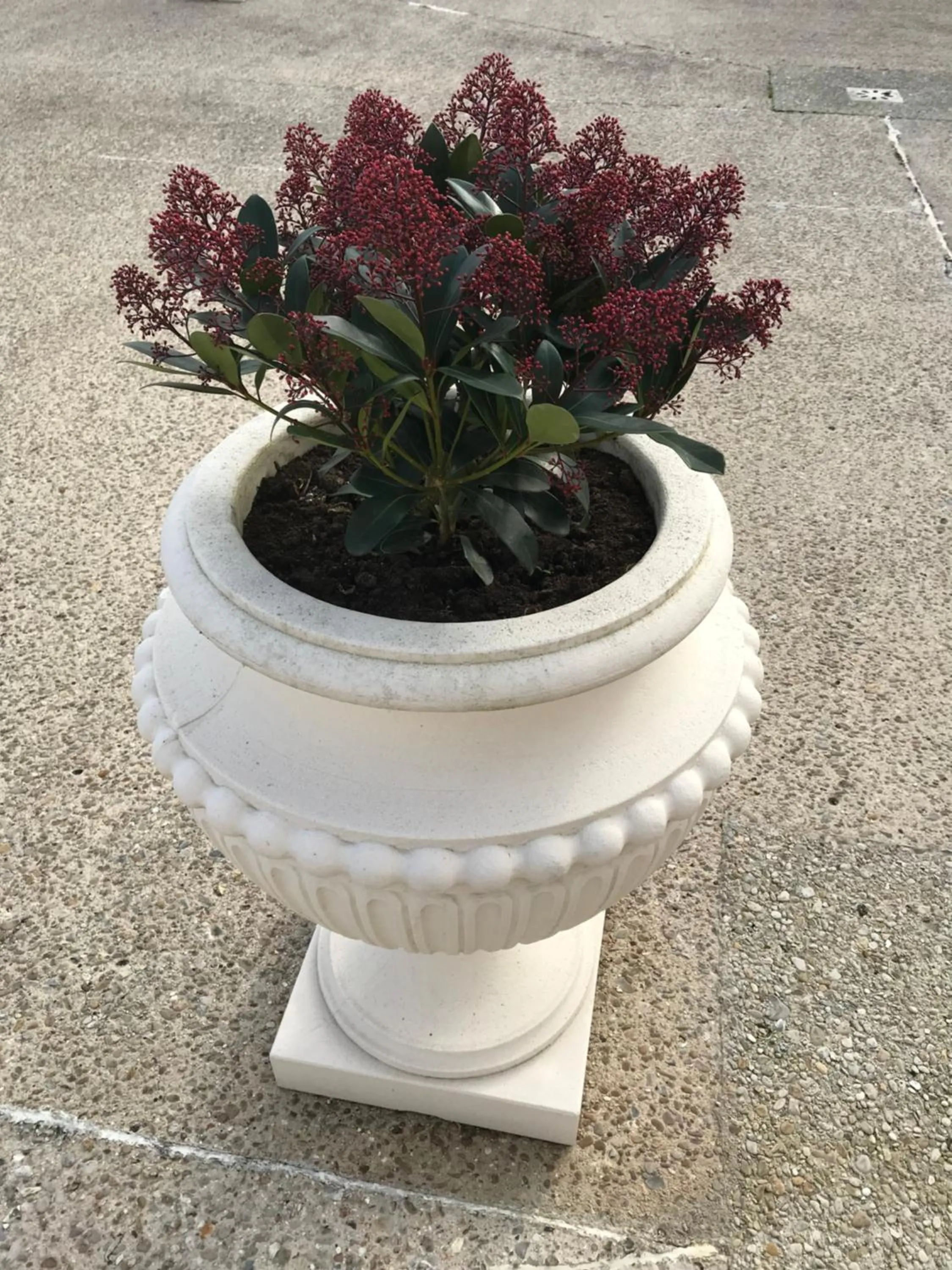 Chambres d'hotes Karine SMEJ