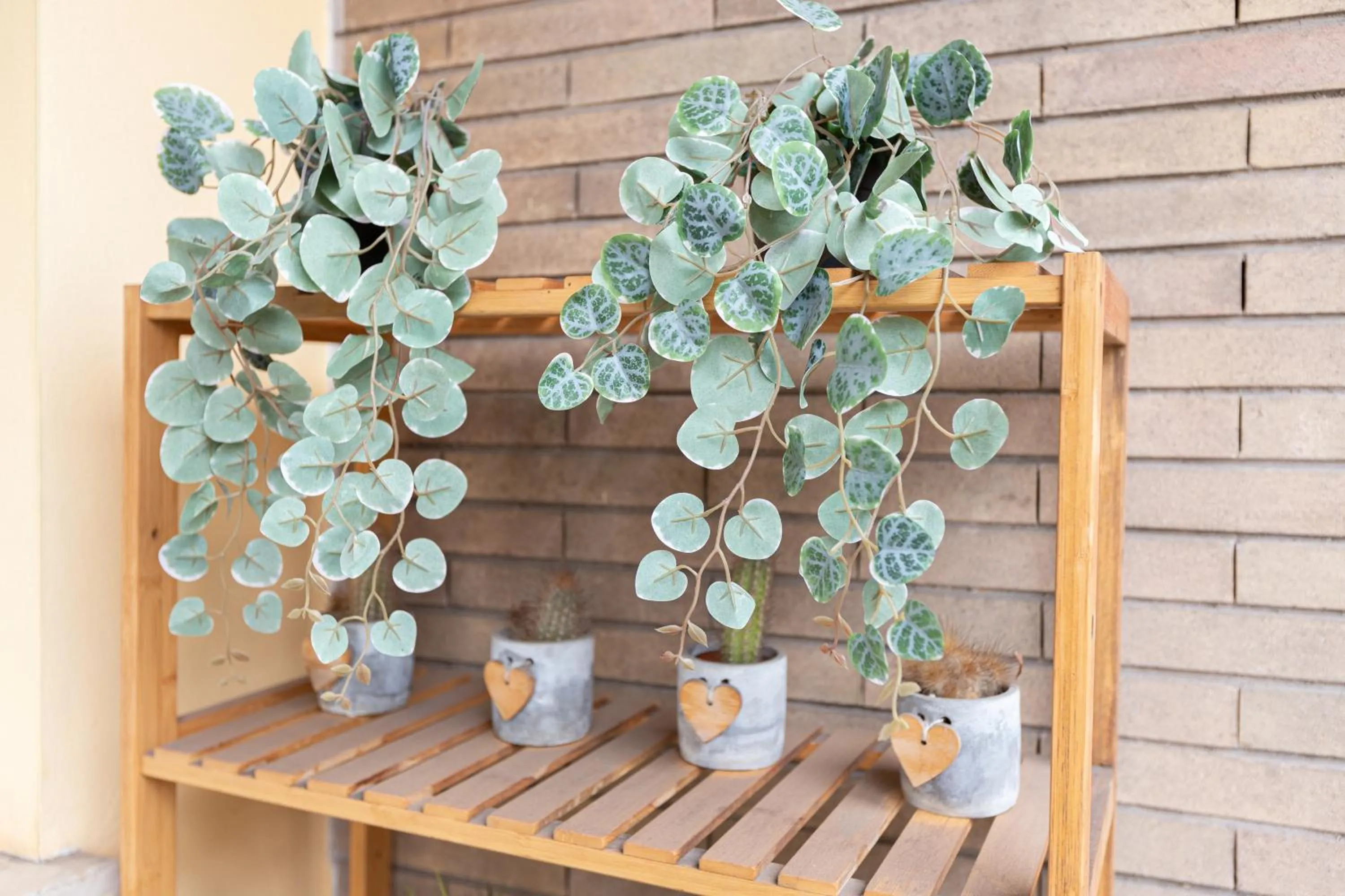 Balcony/Terrace in 247 Luxury Rooms Trastevere