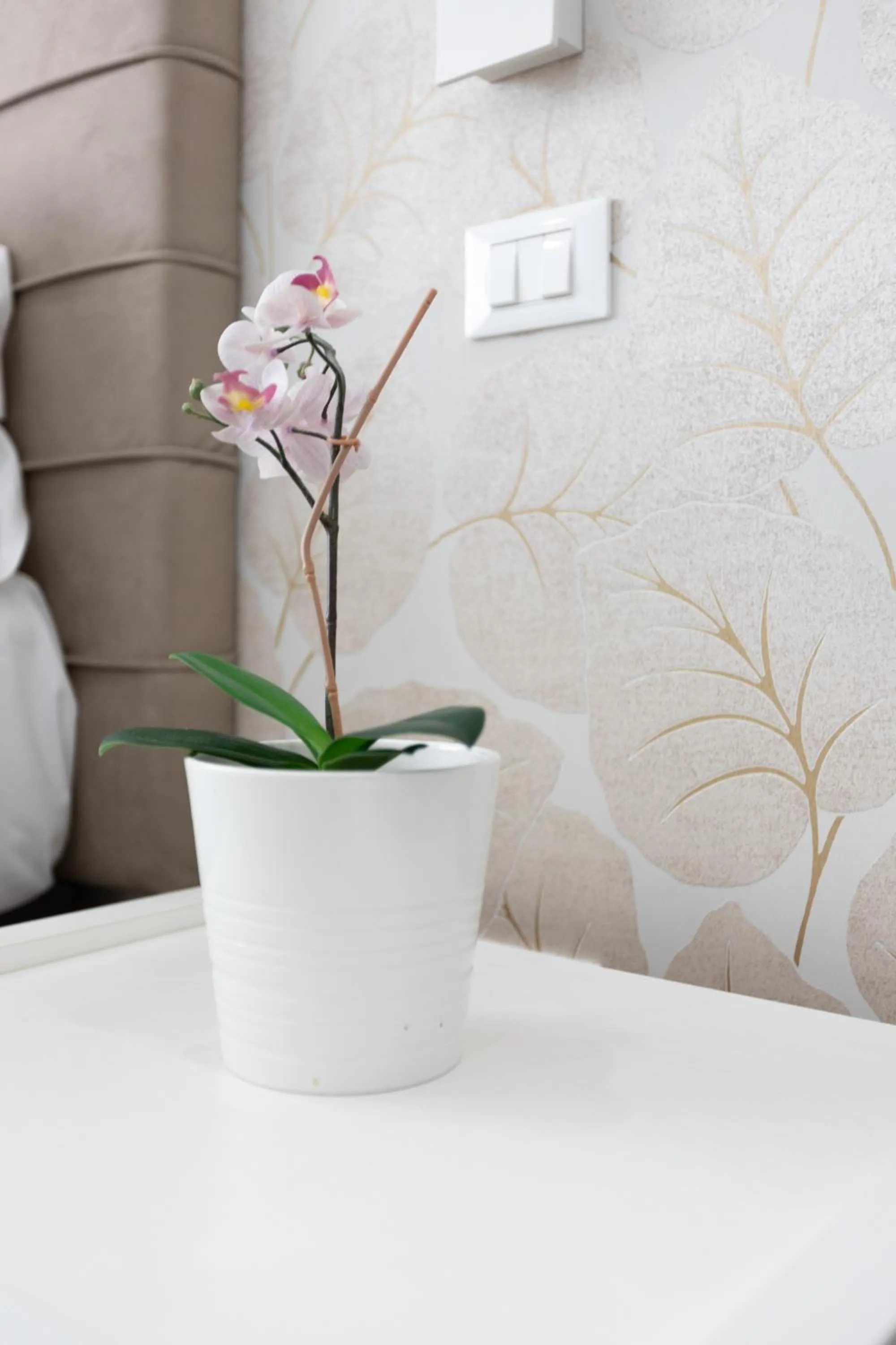 Decorative detail in 247 Luxury Rooms Trastevere