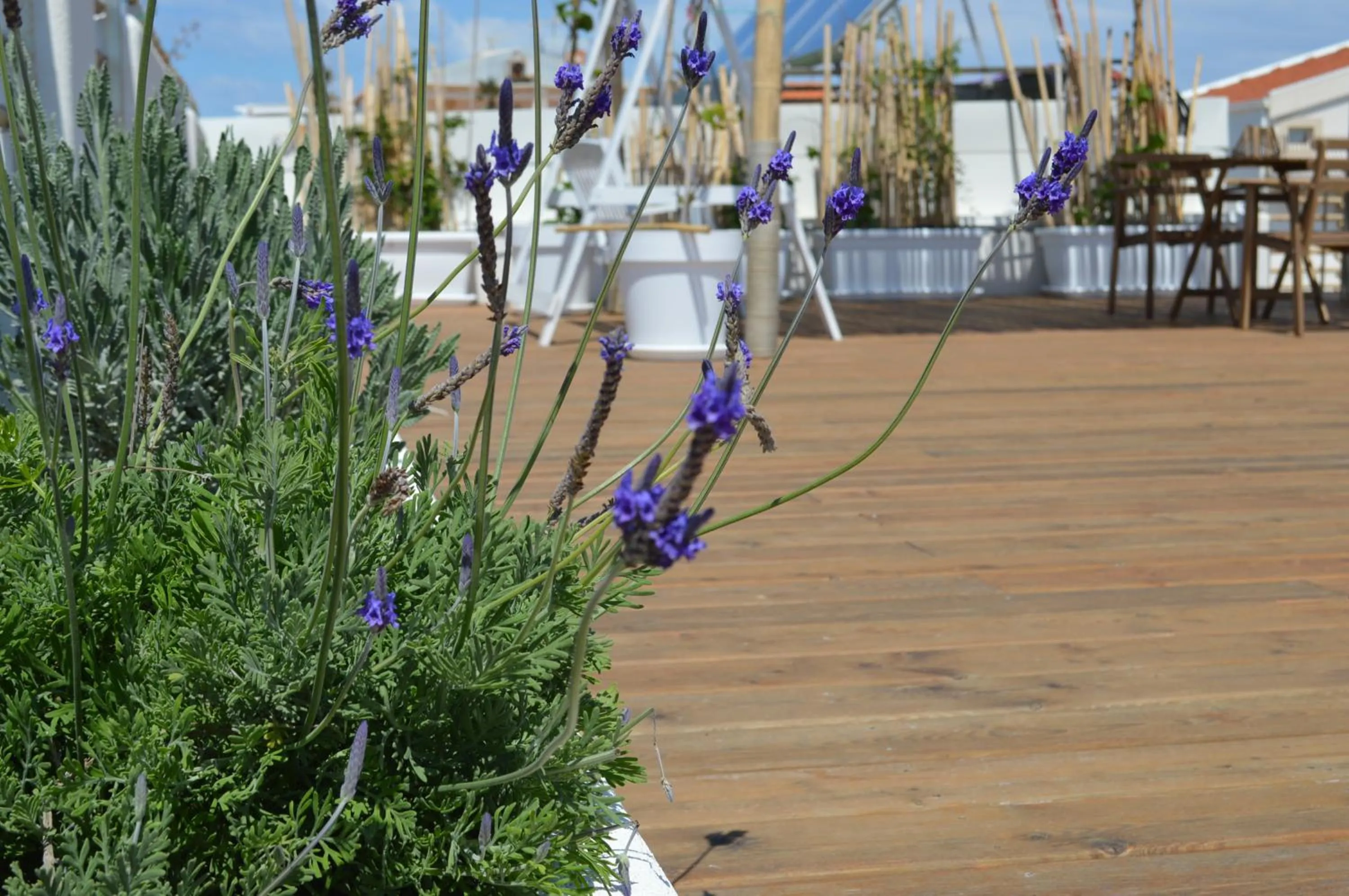 Sempreverde Atelier B&B