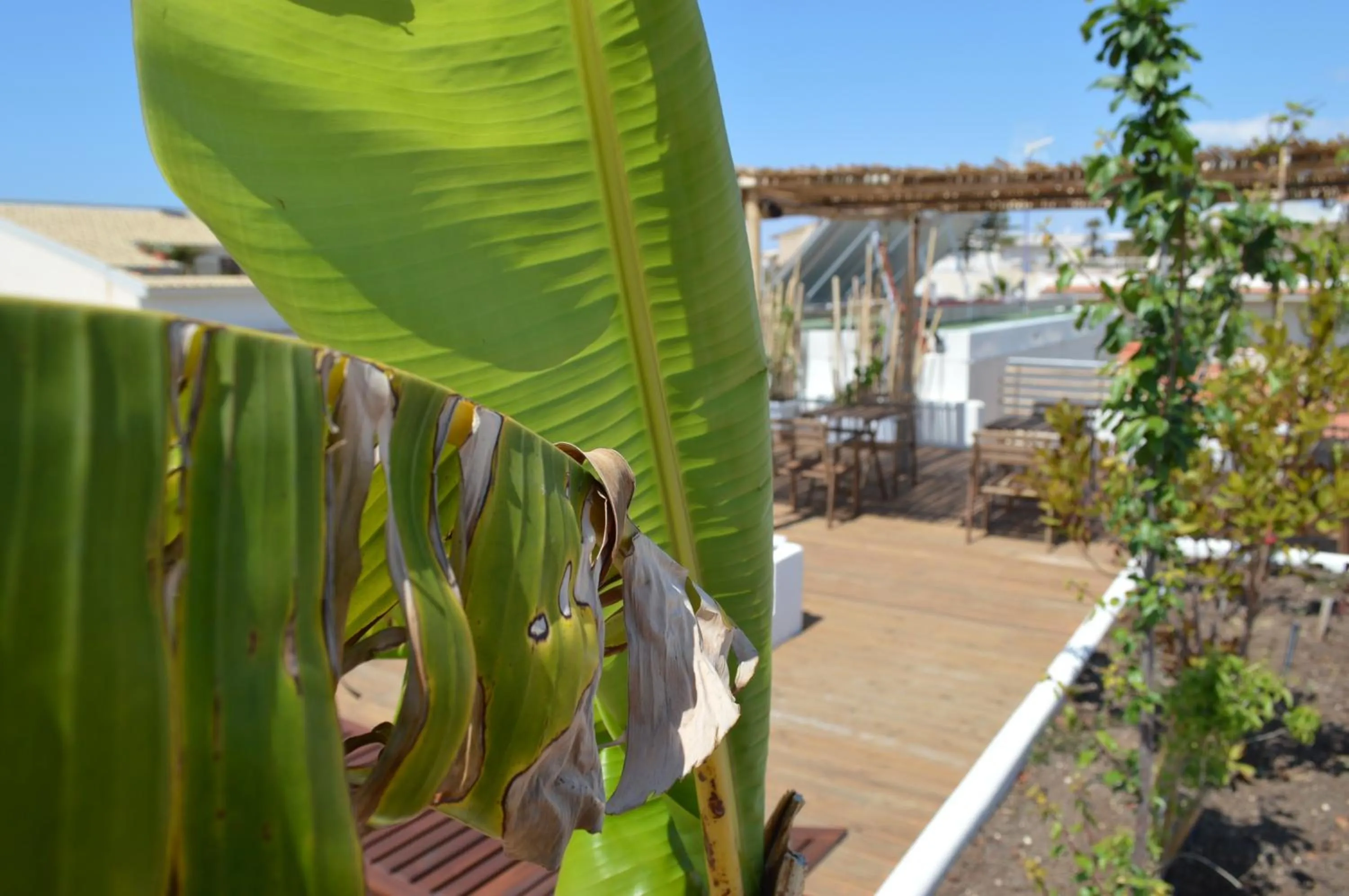 Sempreverde Atelier B&B