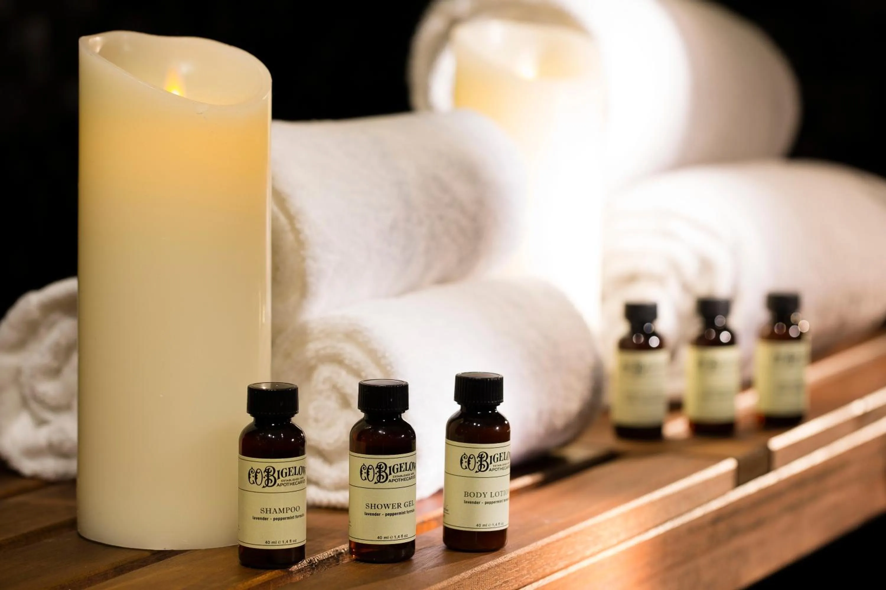 Spa and wellness centre/facilities in Hotel Whistler - Gare du Nord