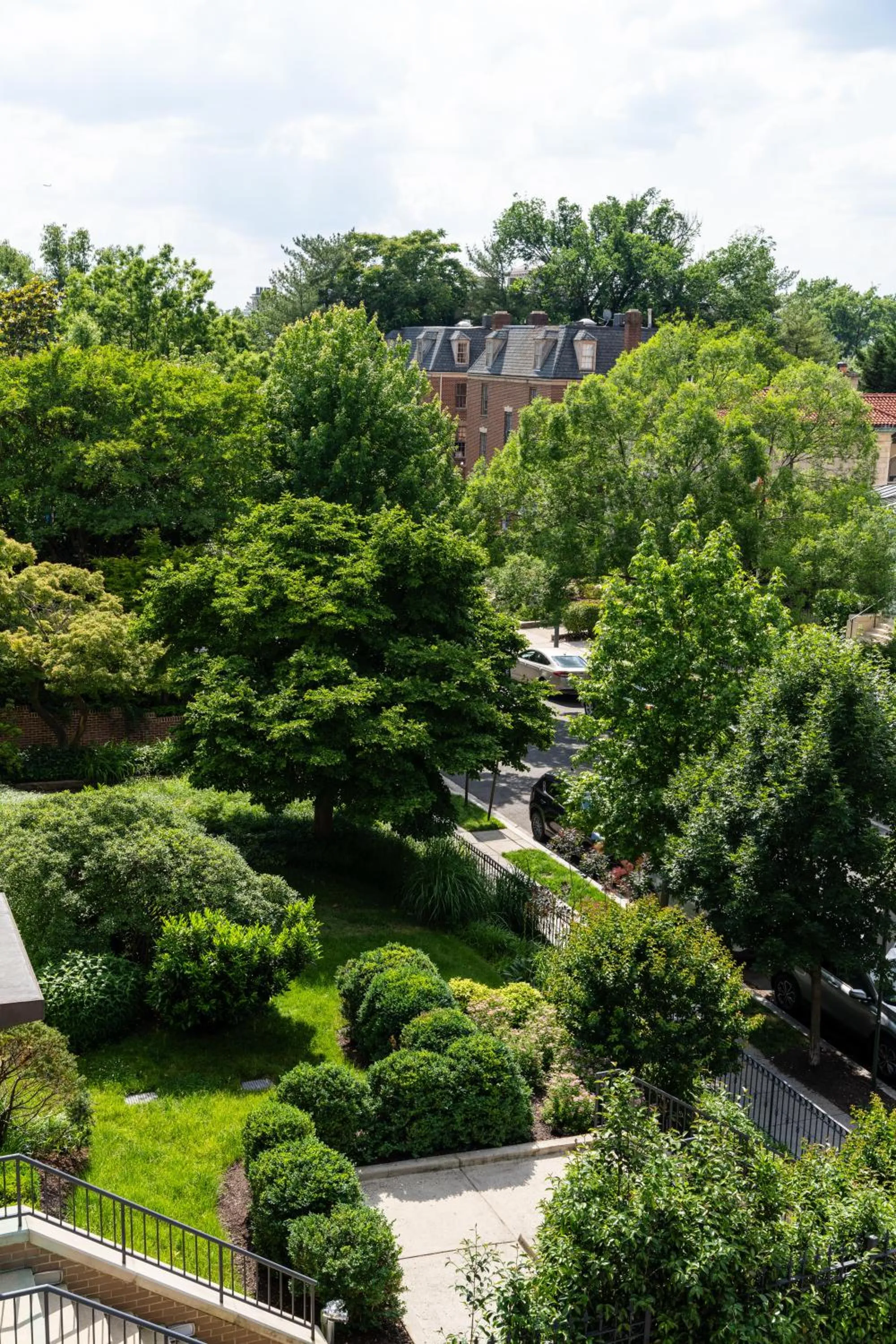 Natural landscape in The Normandy Hotel