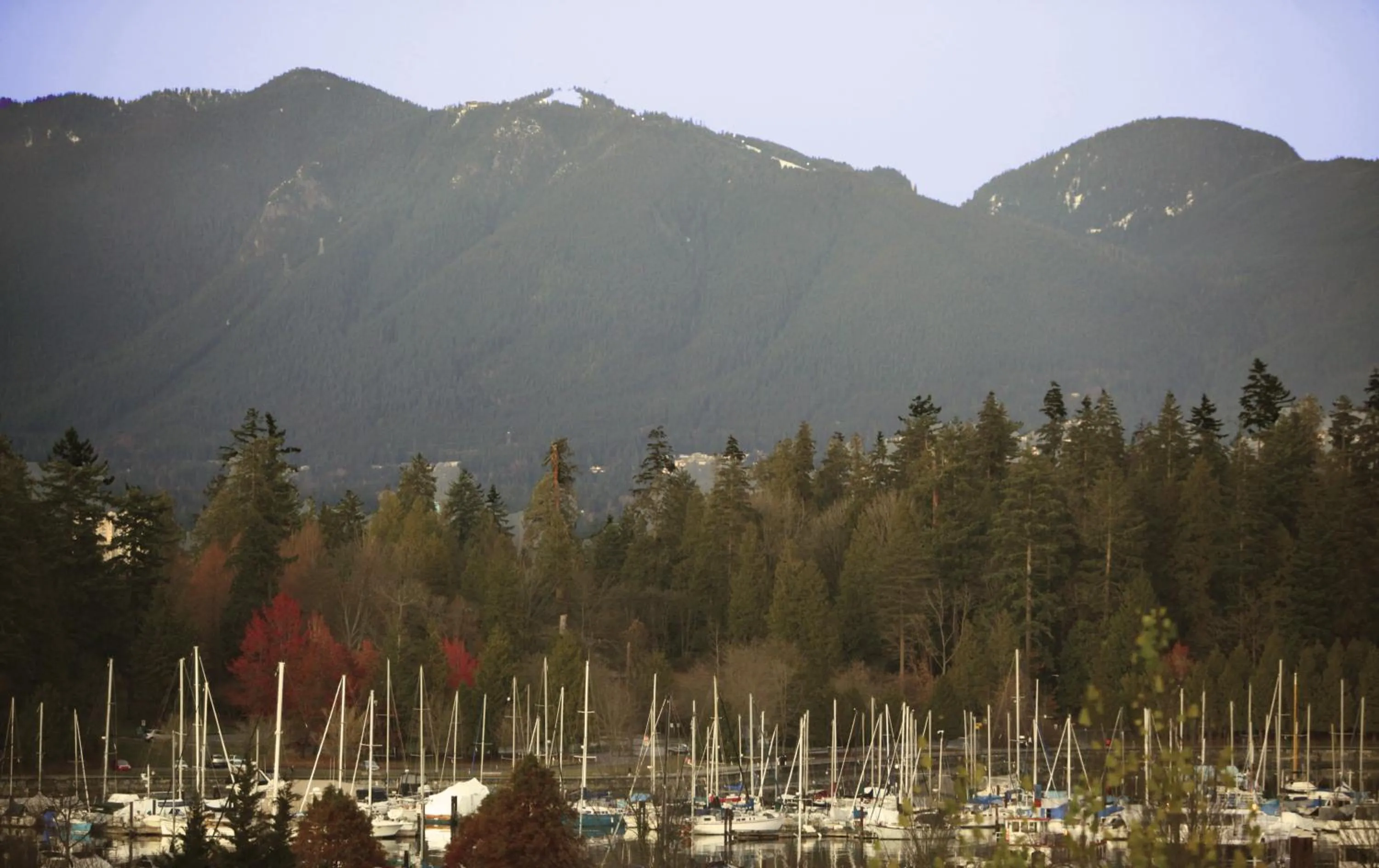View (from property/room) in Times Square Suites Hotel