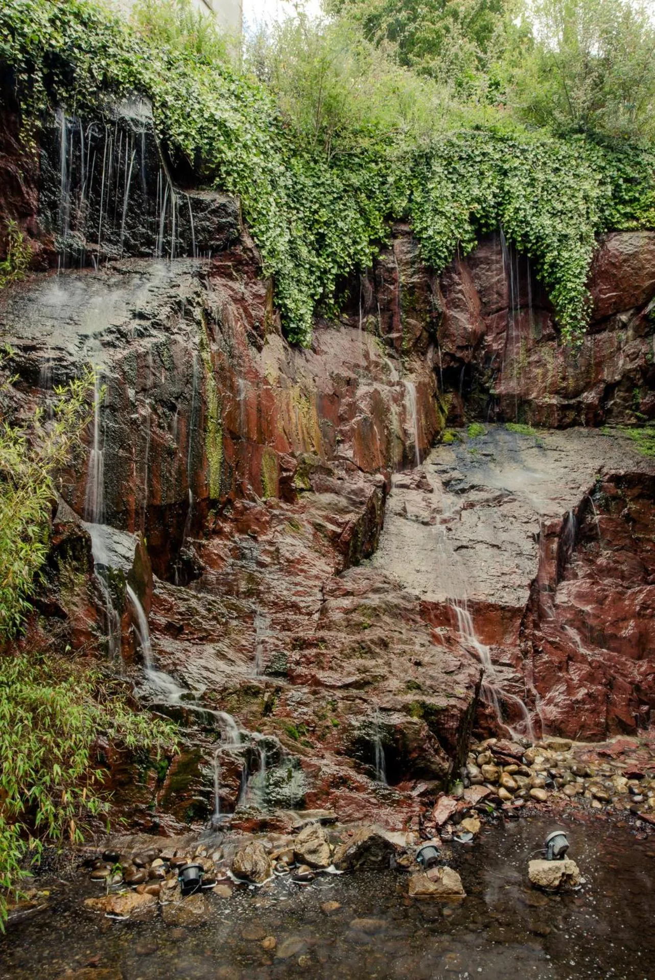 Natural landscape in Hotel Isaacs Cork City