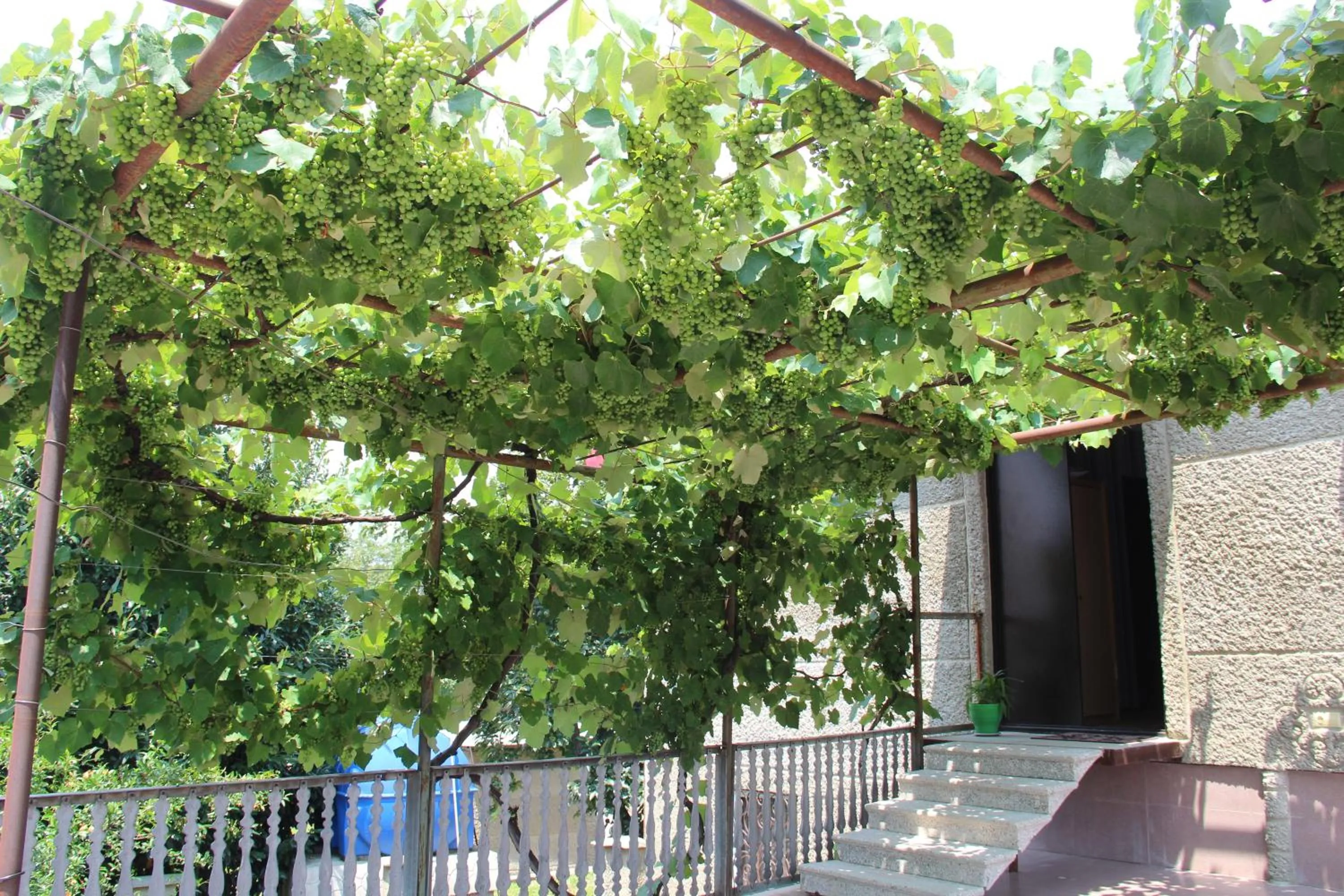 Balcony/Terrace in Hotel Oniks