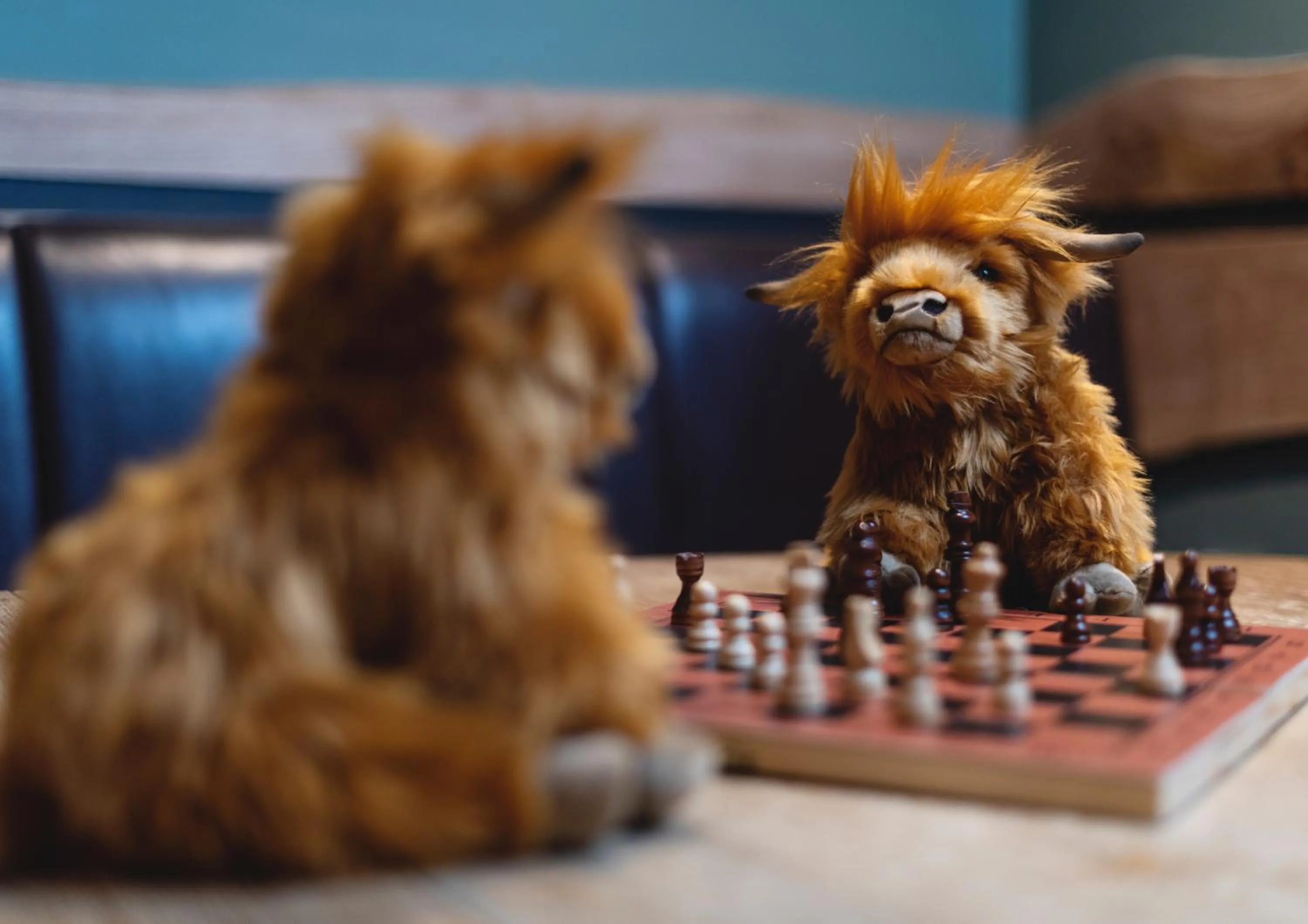 Animals in Ben Cruachan Inn - Restaurant, Pub with Rooms