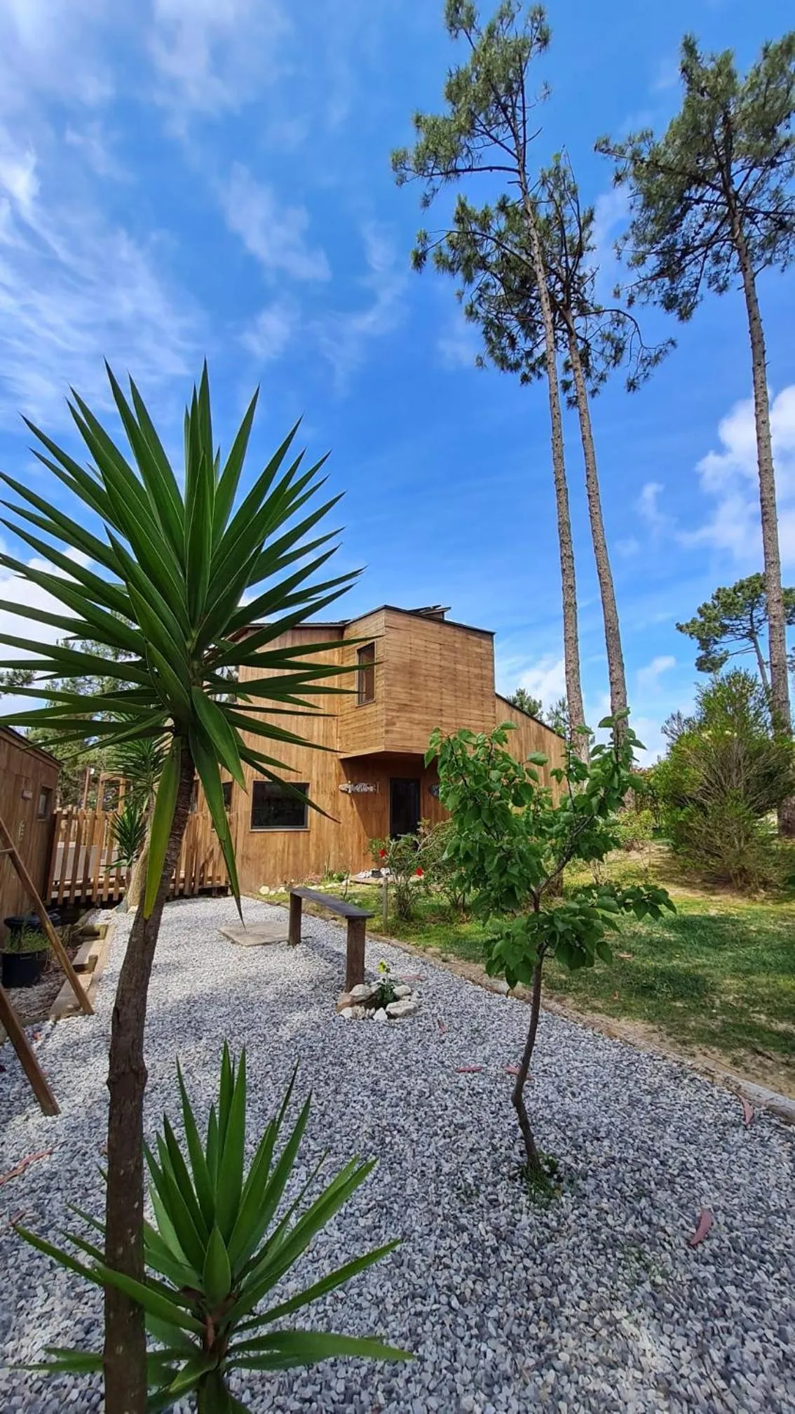 Photo of the whole room in Bukubaki Eco Surf