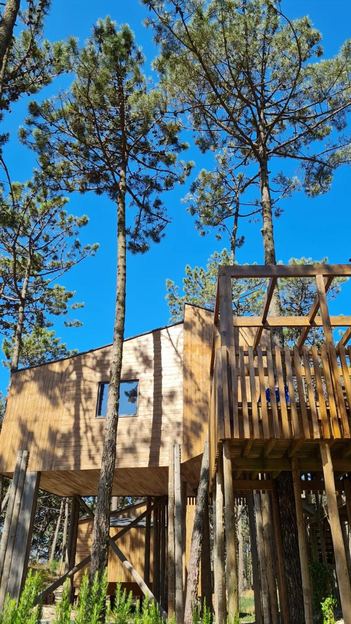 Property building in Bukubaki Eco Surf