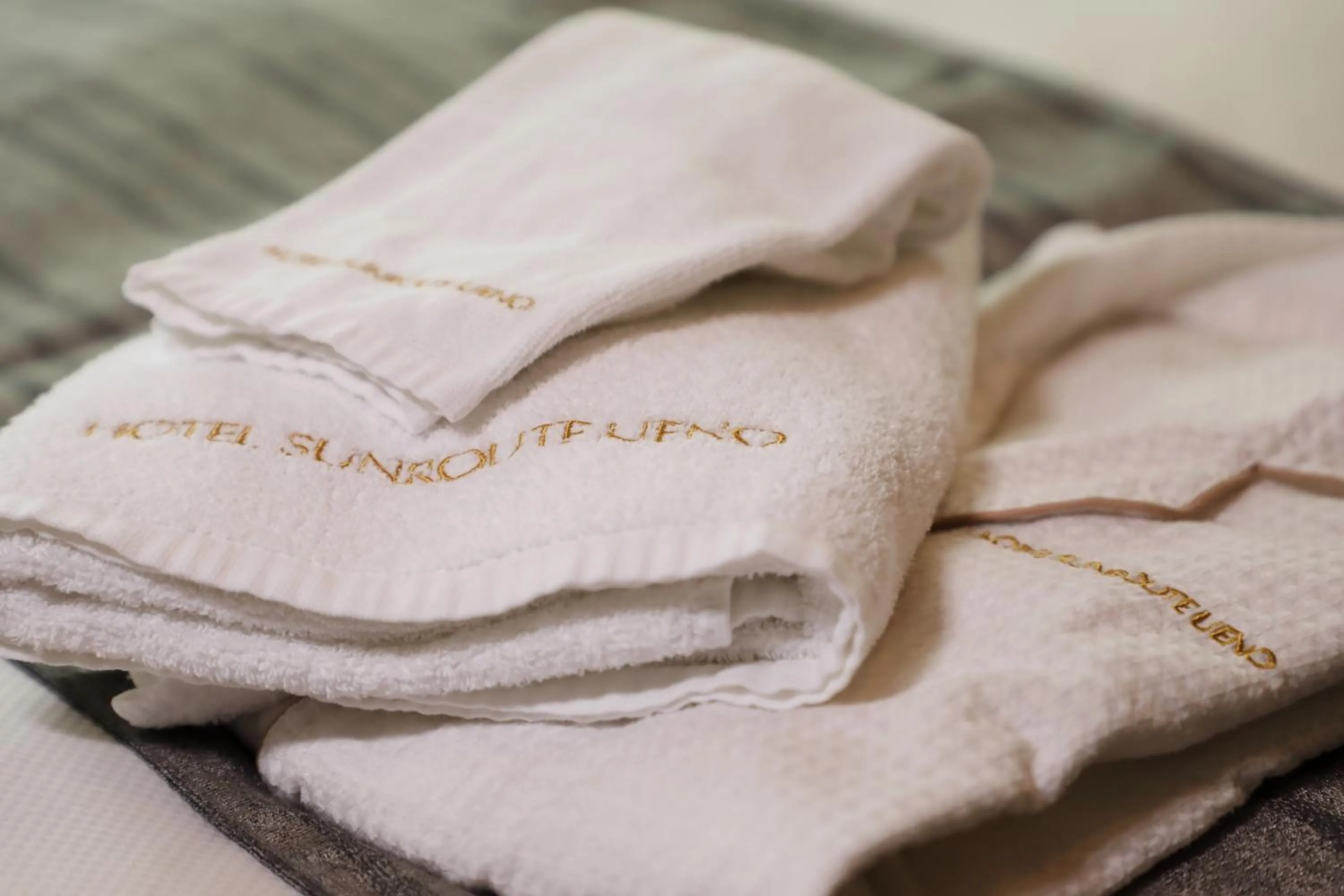 Other in Hotel Sunroute Stellar Ueno