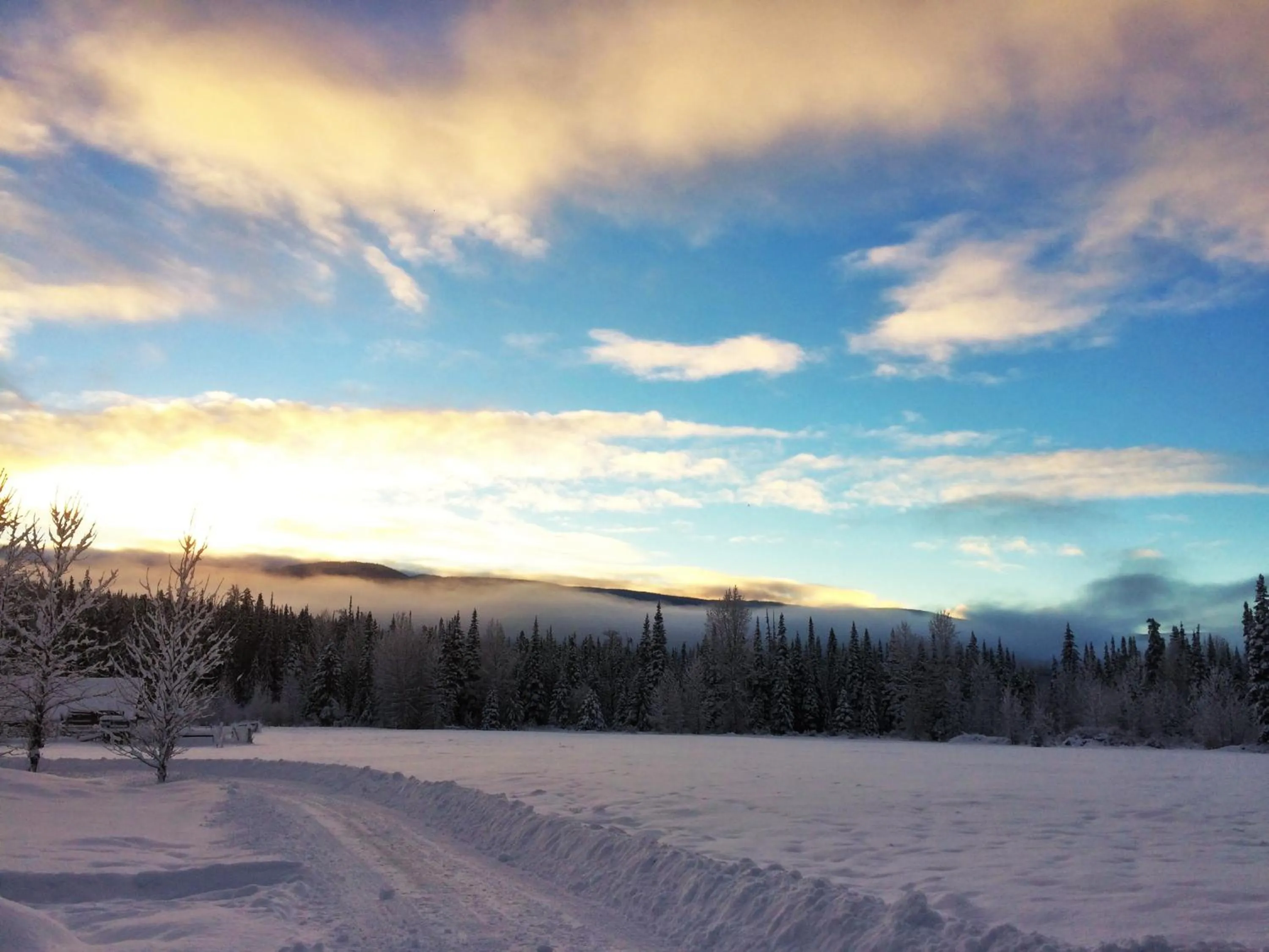 Natural landscape in Rocky Ridge Resort-BC