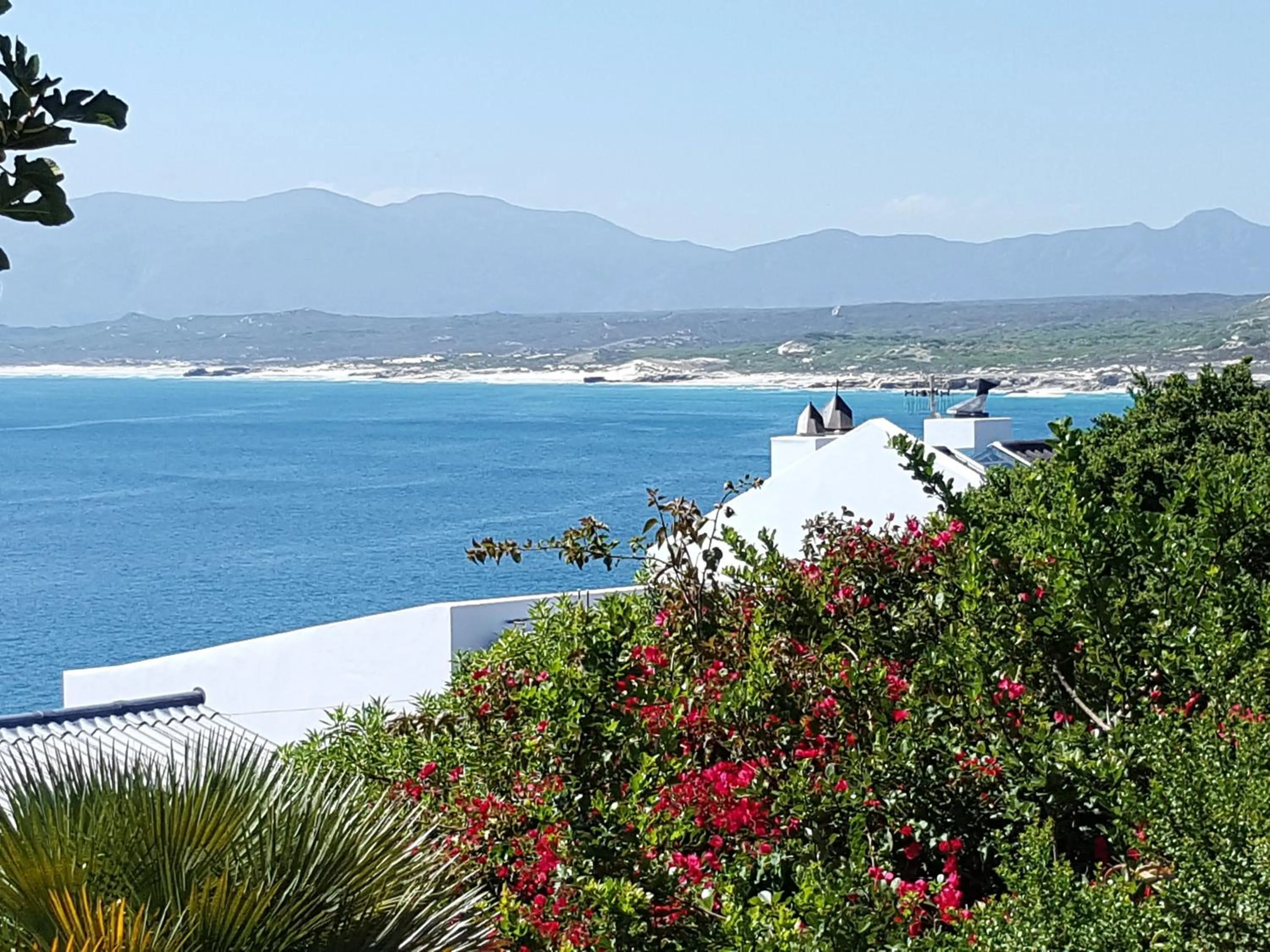 Neighbourhood in Amazing Grace B&B