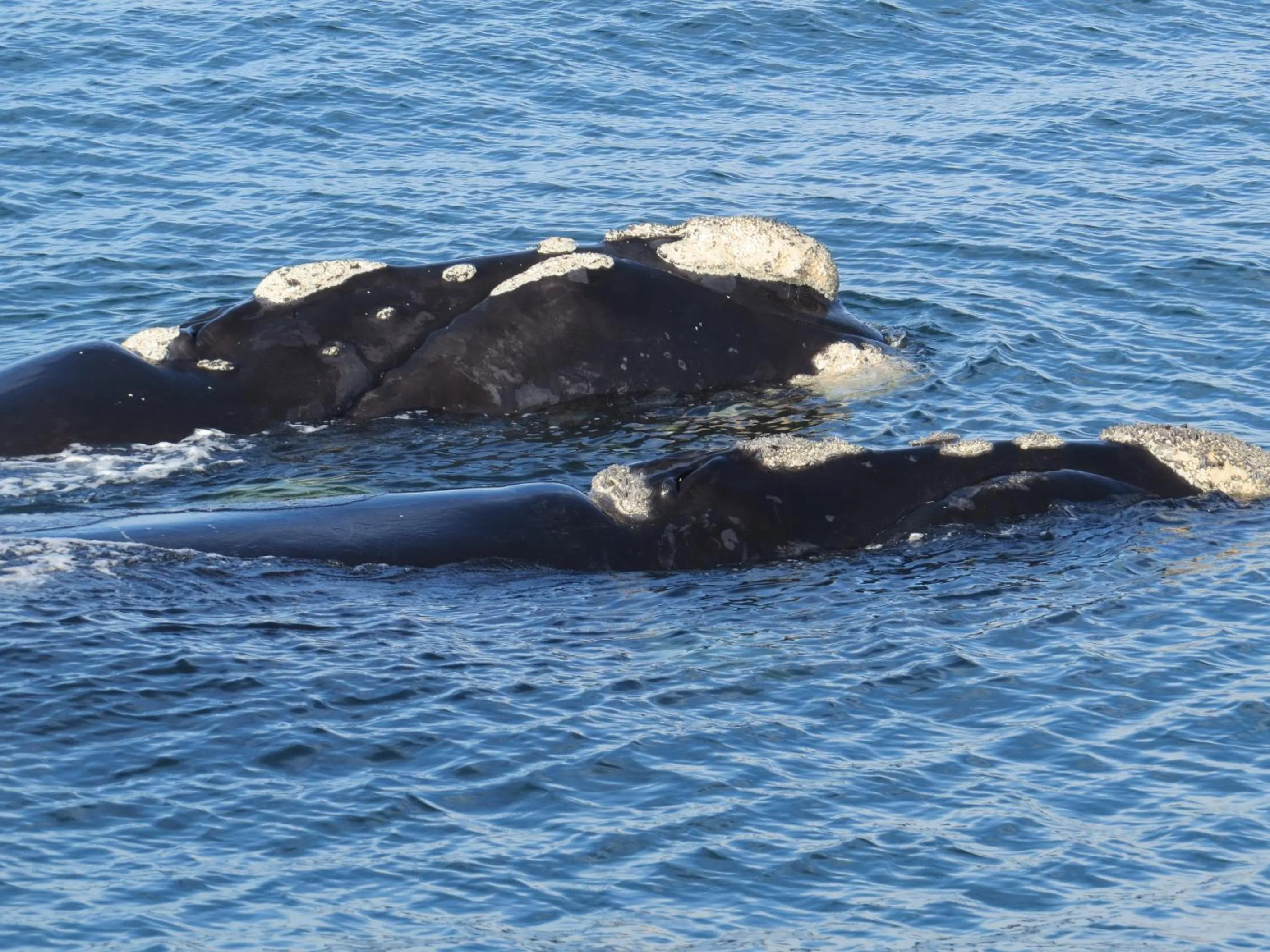 Off site in Amazing Grace B&B