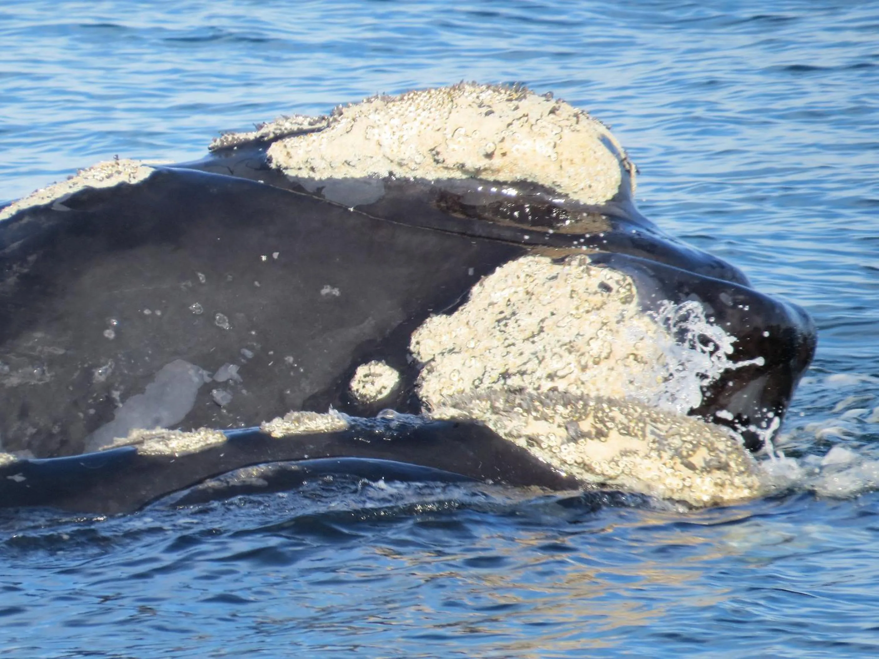 Natural landscape in Amazing Grace B&B