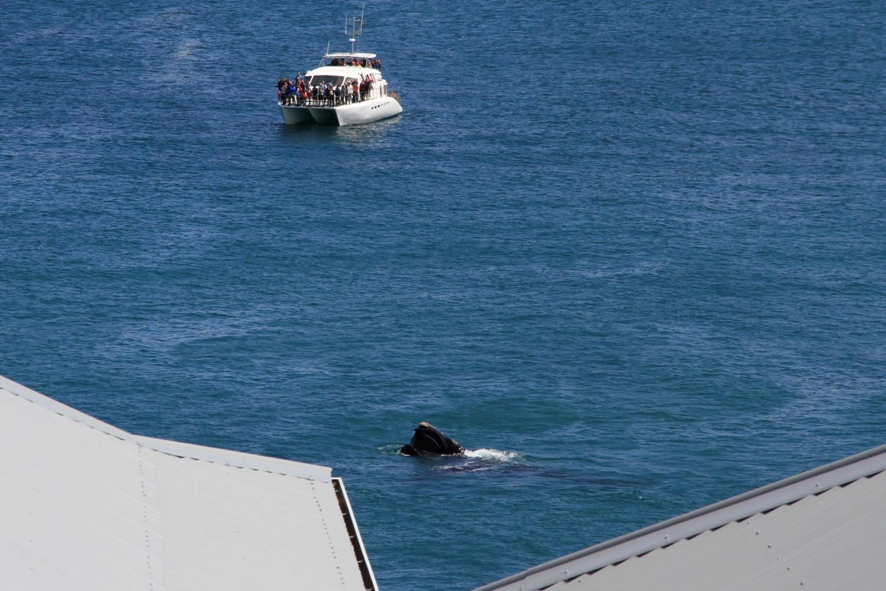 View (from property/room) in Amazing Grace B&B