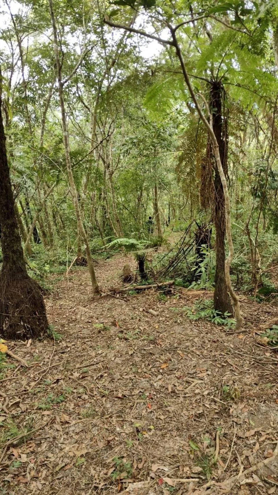 Taroko Mountain View B&B