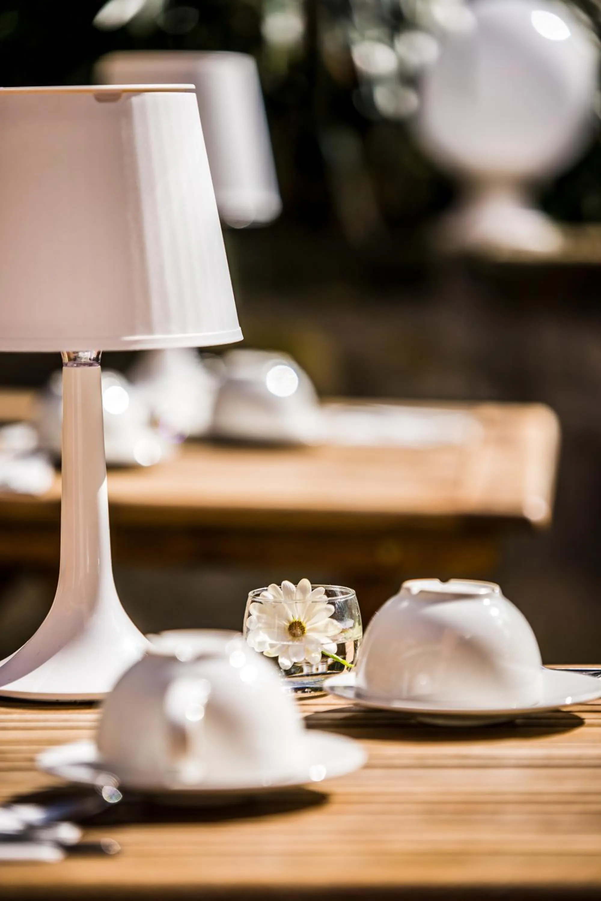 Garden in Maison Fernanda