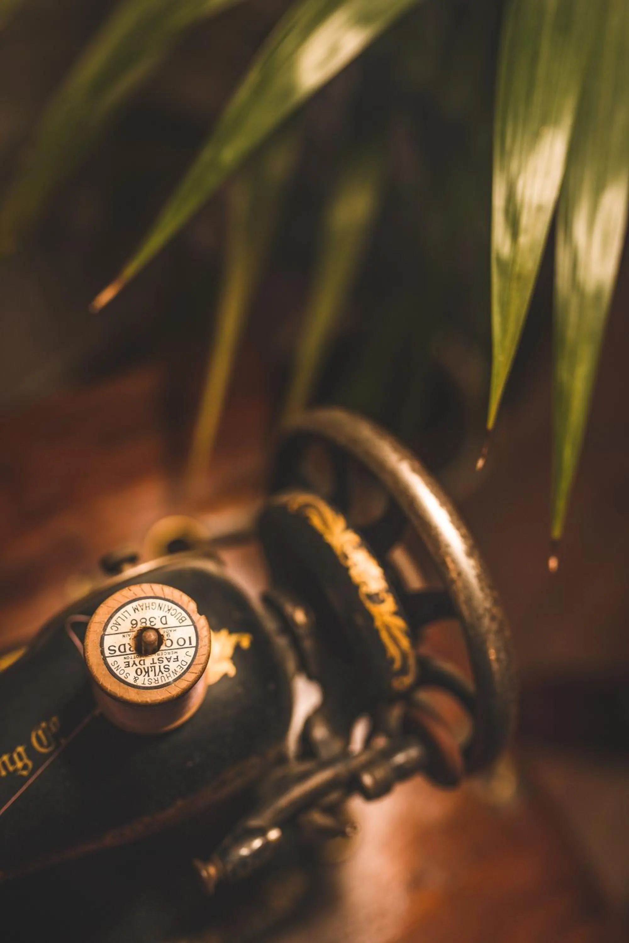 Facade/entrance in Maison Fernanda