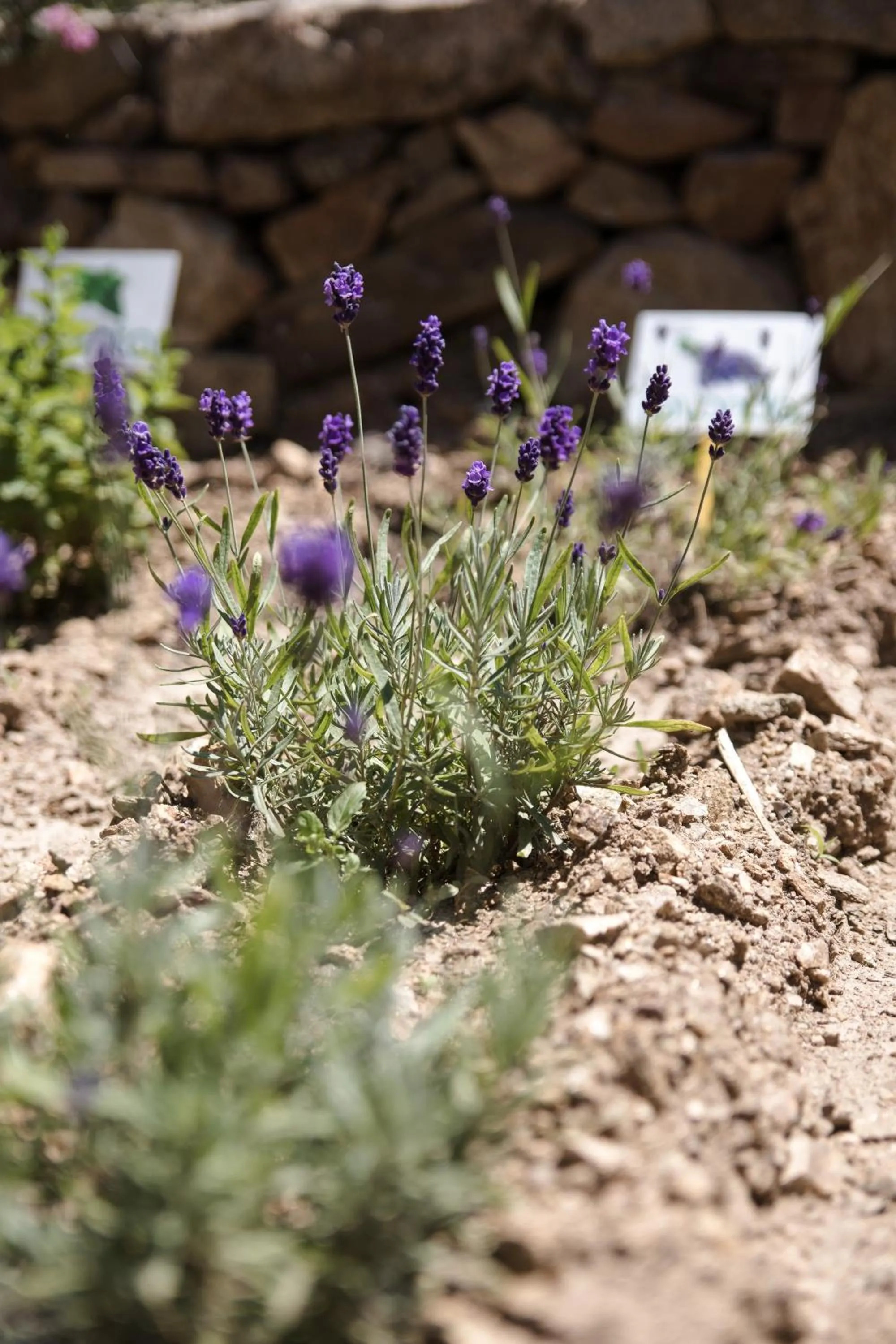 Hypnos Boutique Hotel