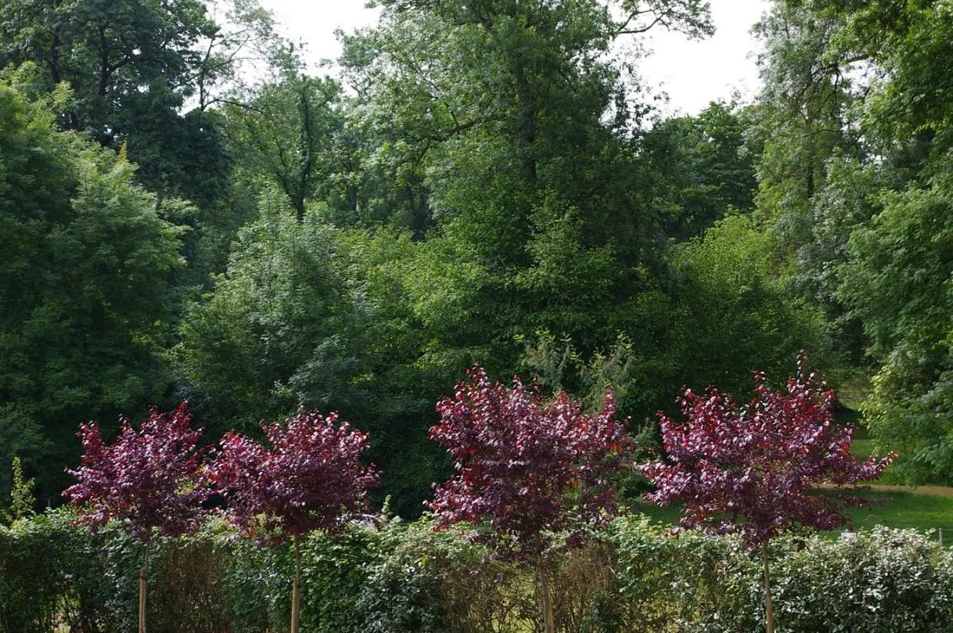 Garden view in Hostellerie de La Roseraie