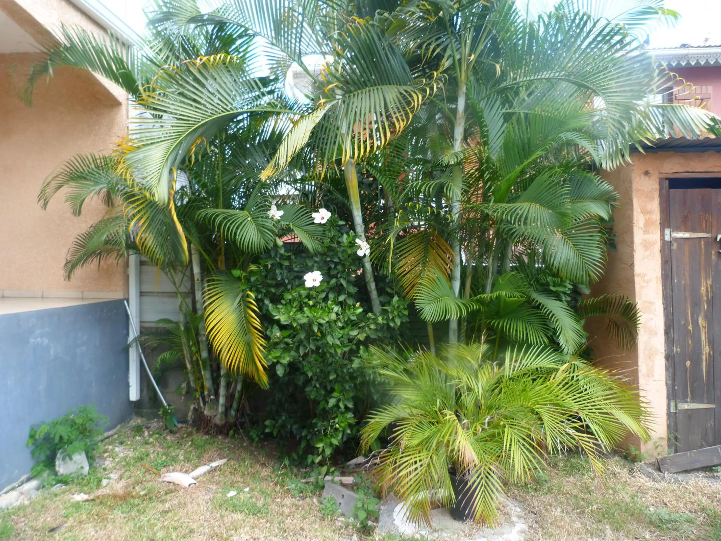 Garden view in Chez Chouchou