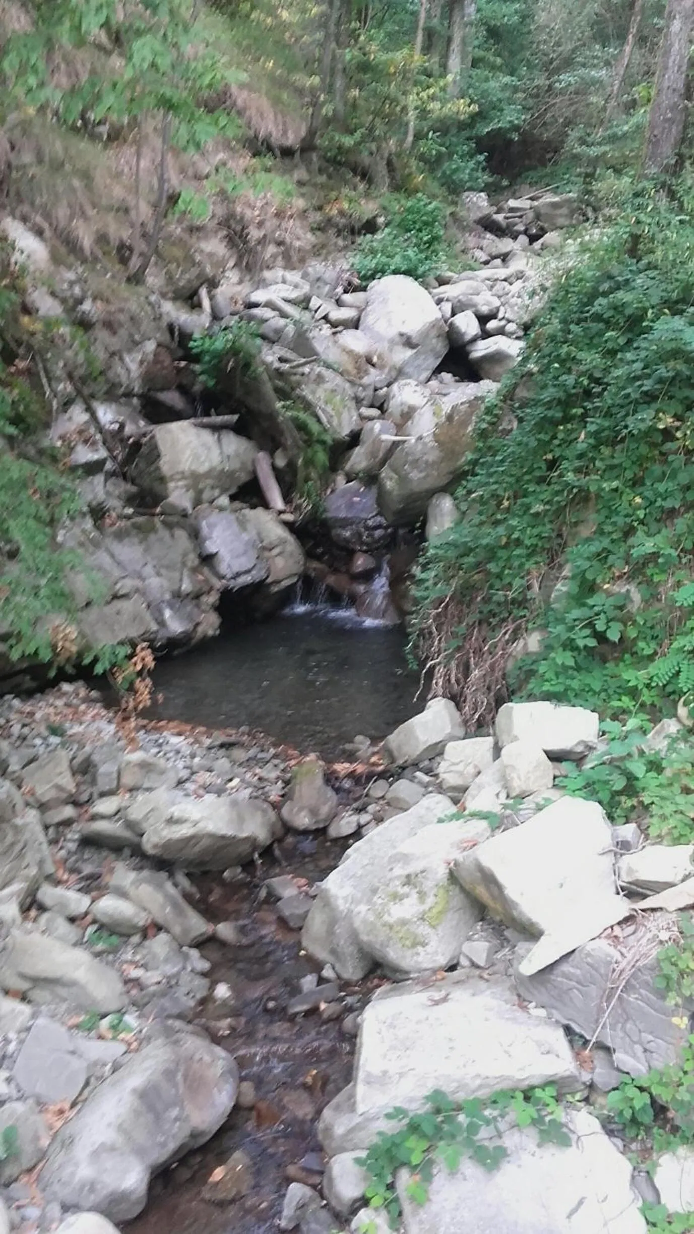 Natural landscape in Il Poggio di Traverde