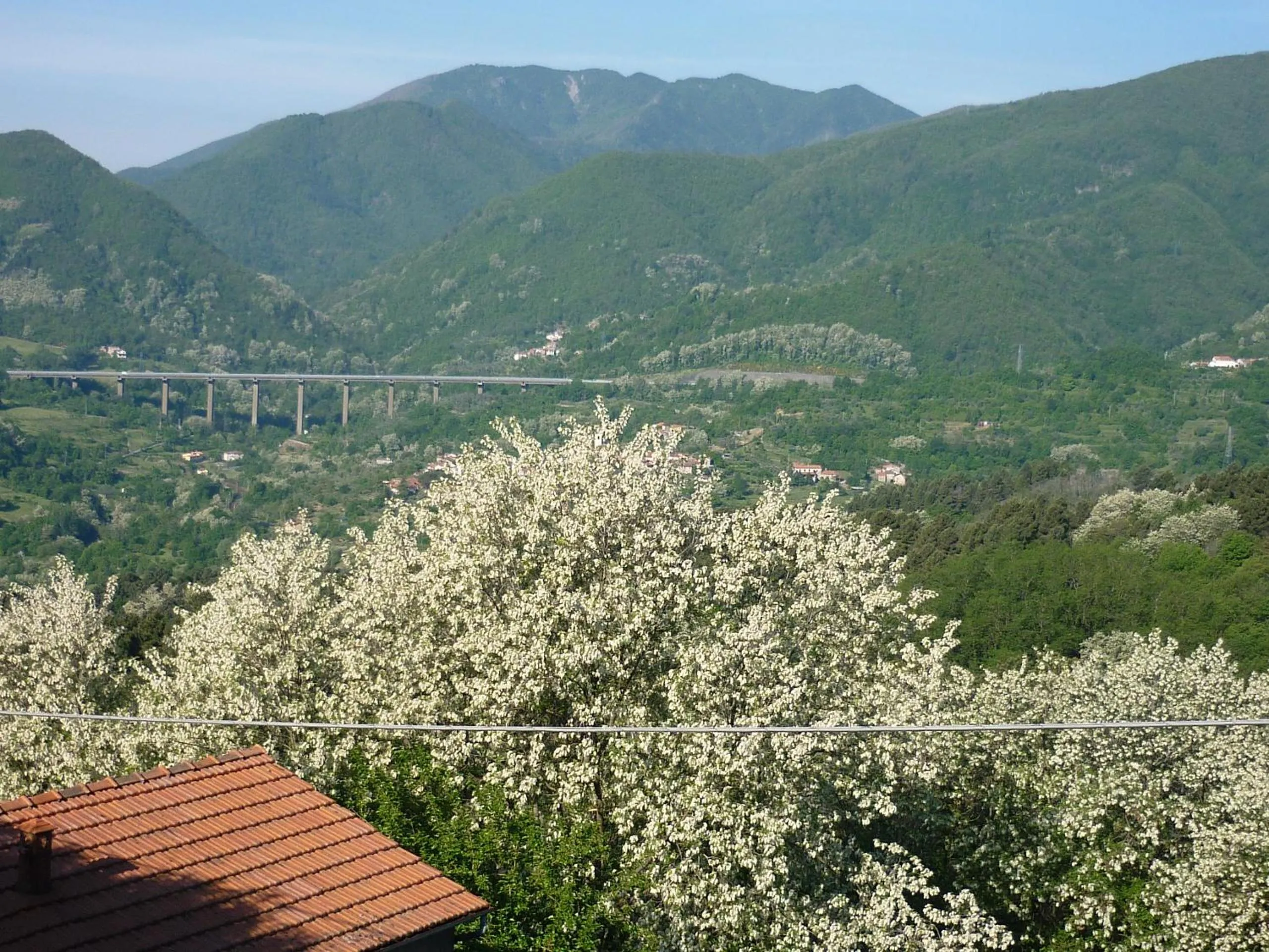 View (from property/room) in Il Poggio di Traverde